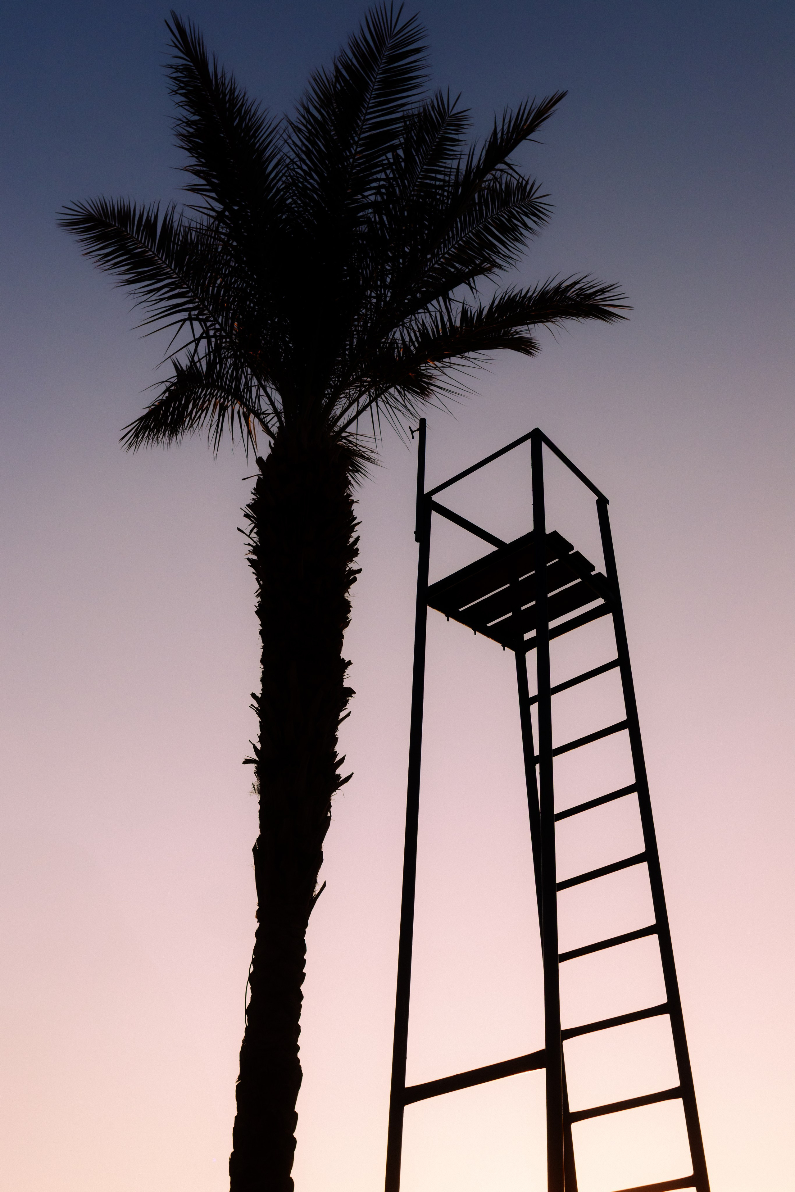 Фотограф Николай Шевченко