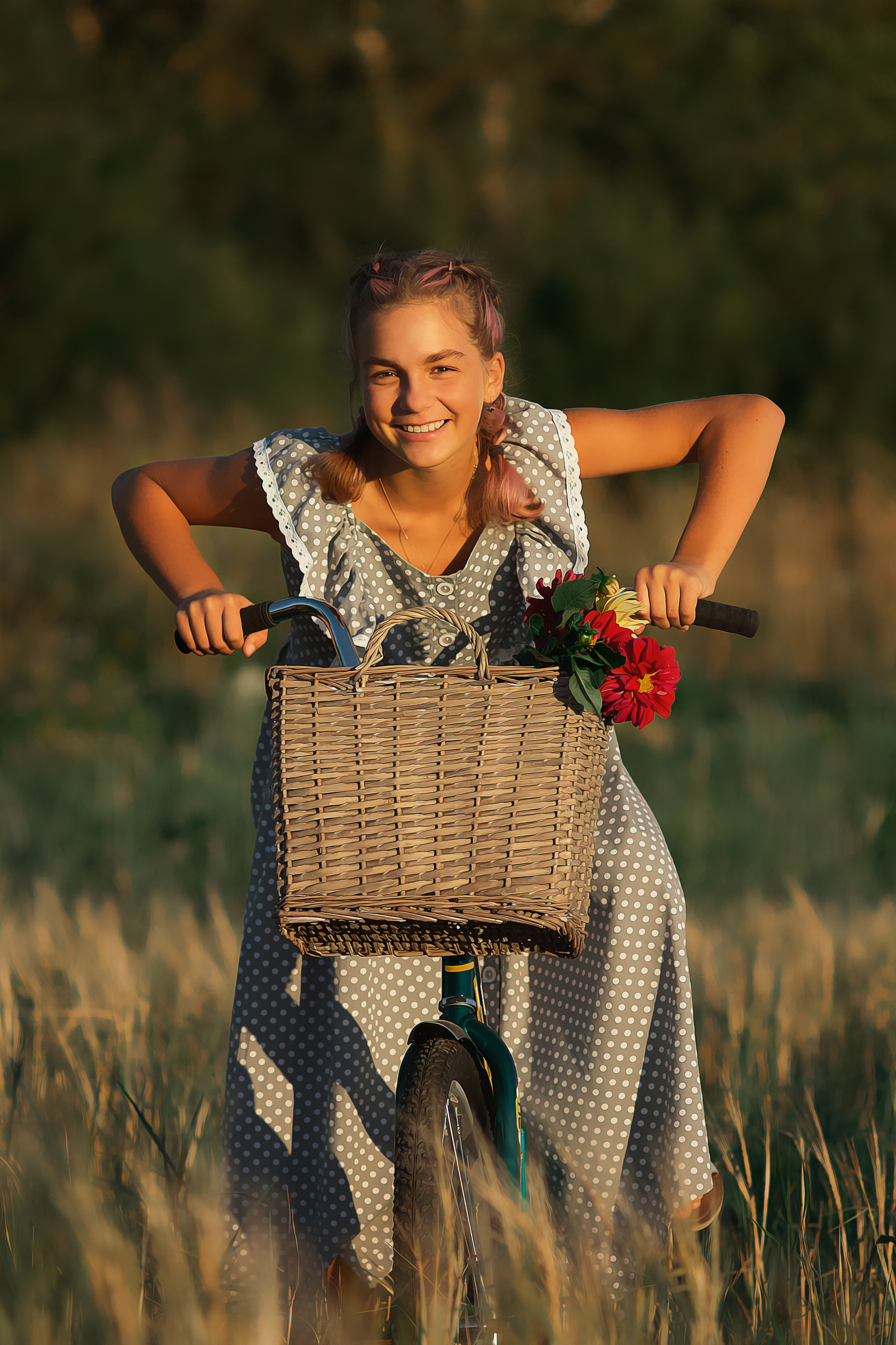 красивая девочка в сарафане в горошек едет по полю на велосипеде с корзиной ярких красных цветов