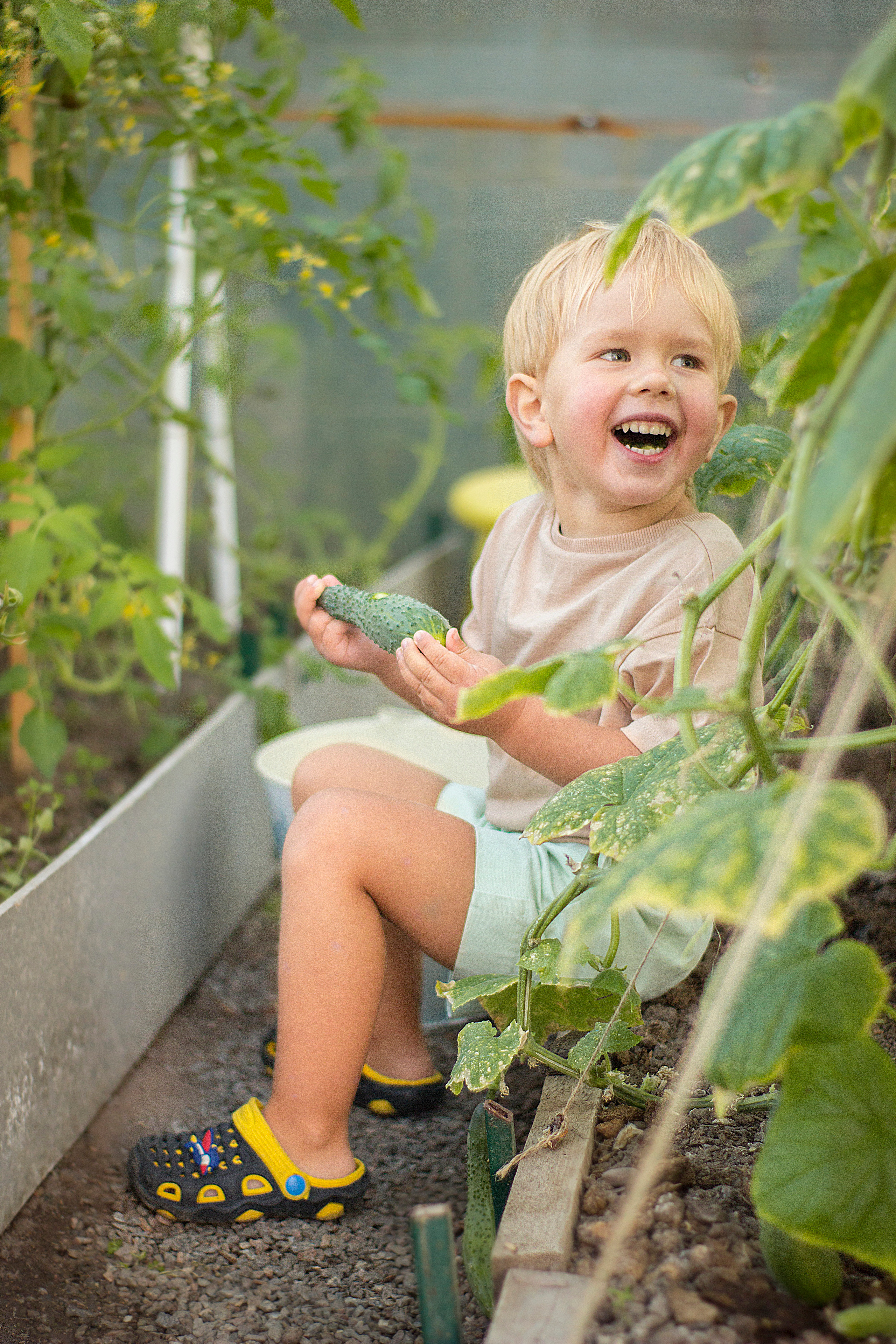 Мальчик находится в теплице держит в руках большой огурец, который откусил и счастливо улыбается