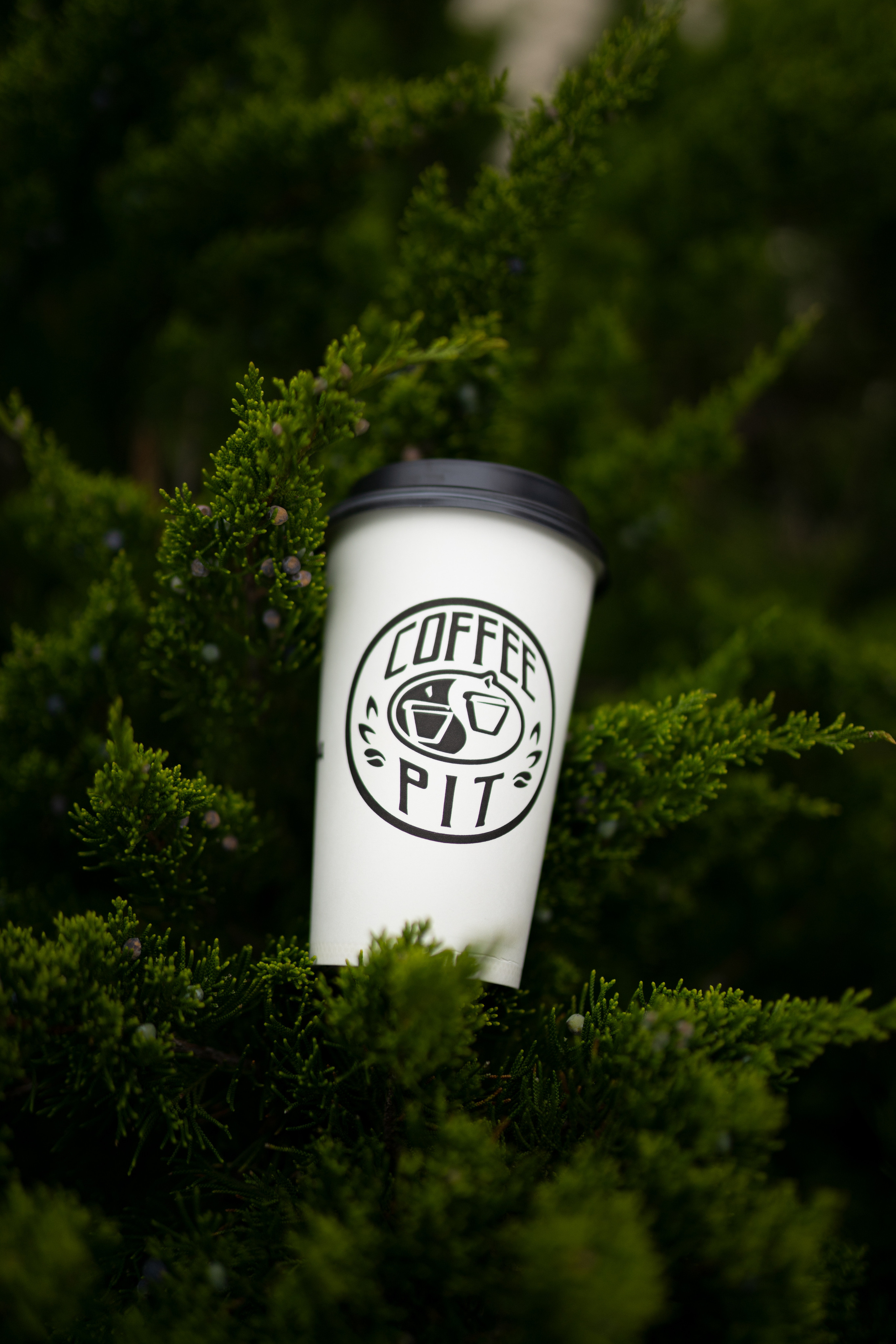 Услуги. Фотограф Владимир Дудукалов