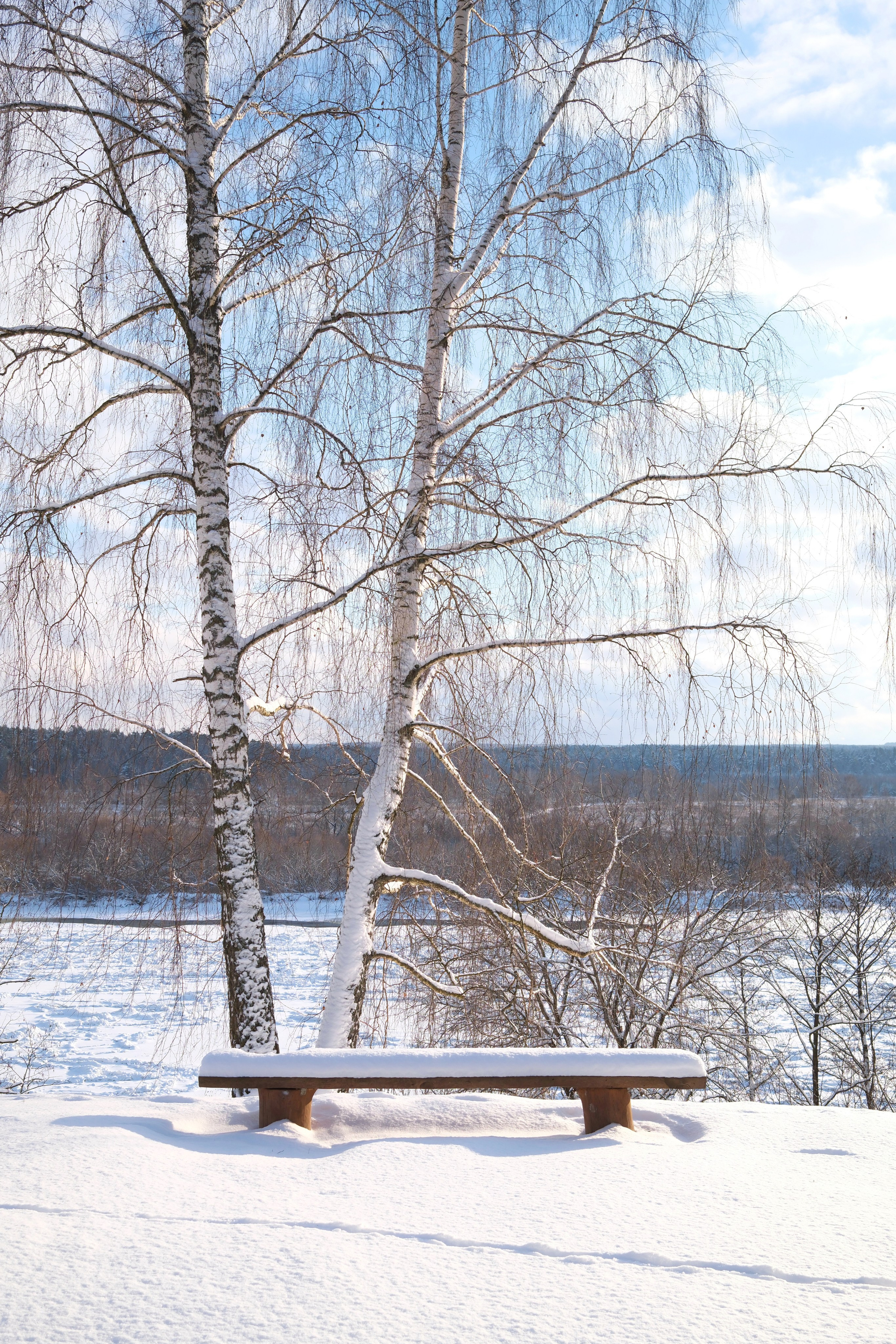 Лыжню!. Belugin Art