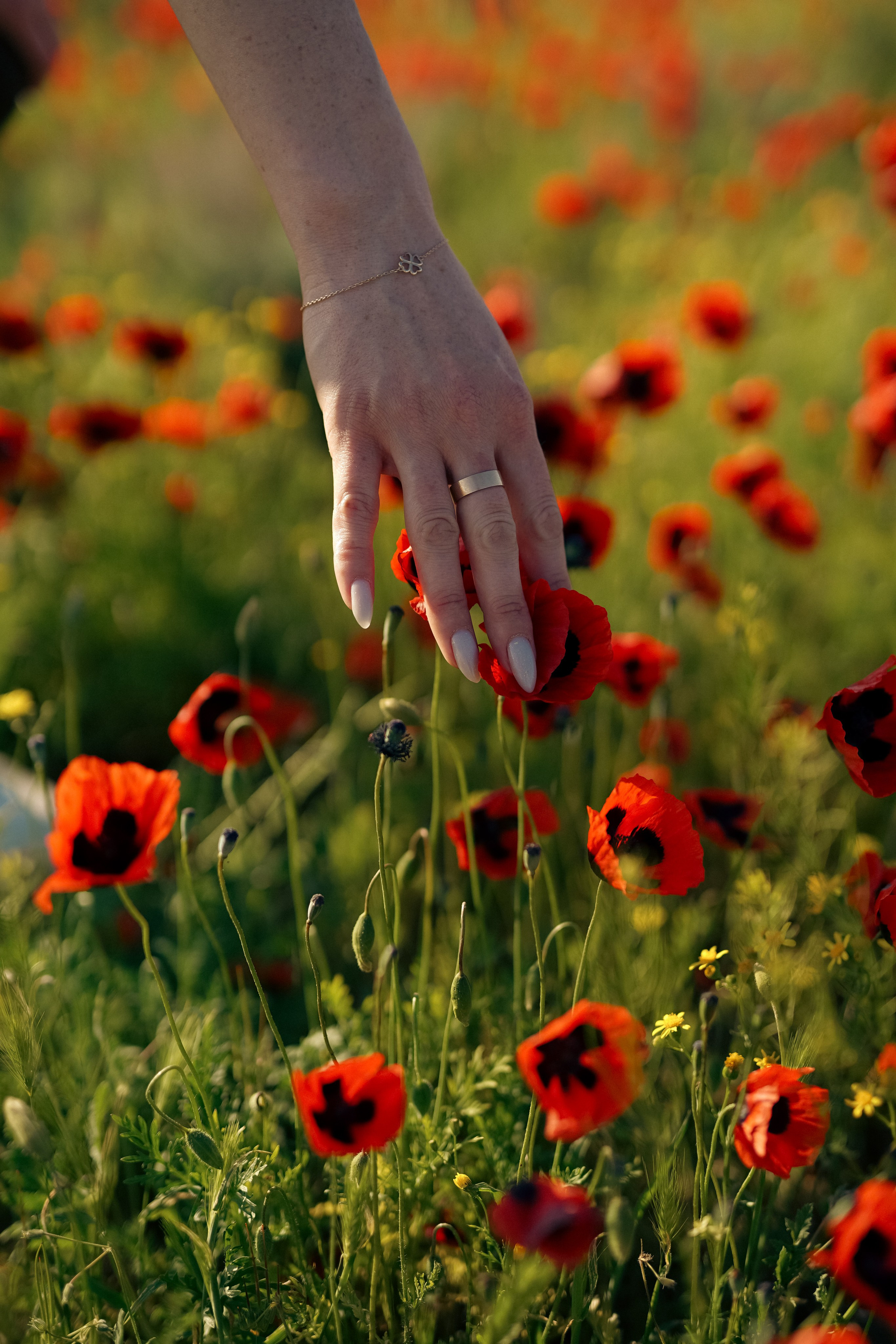 Прогулочные съемки. Фотограф в Астрахани • Фото-туры • Виктория Герма
