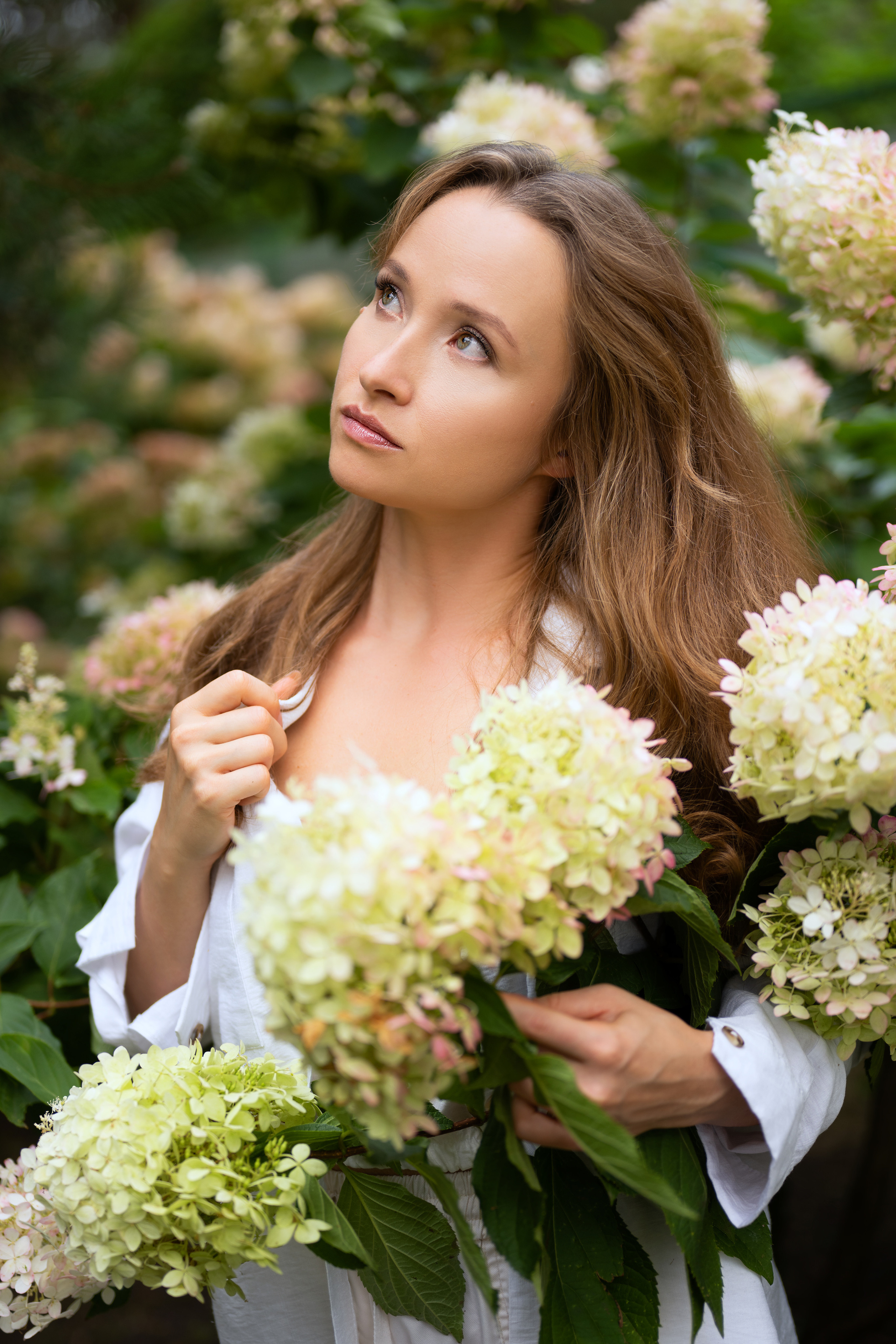 фотосессия девушки среди гортензий