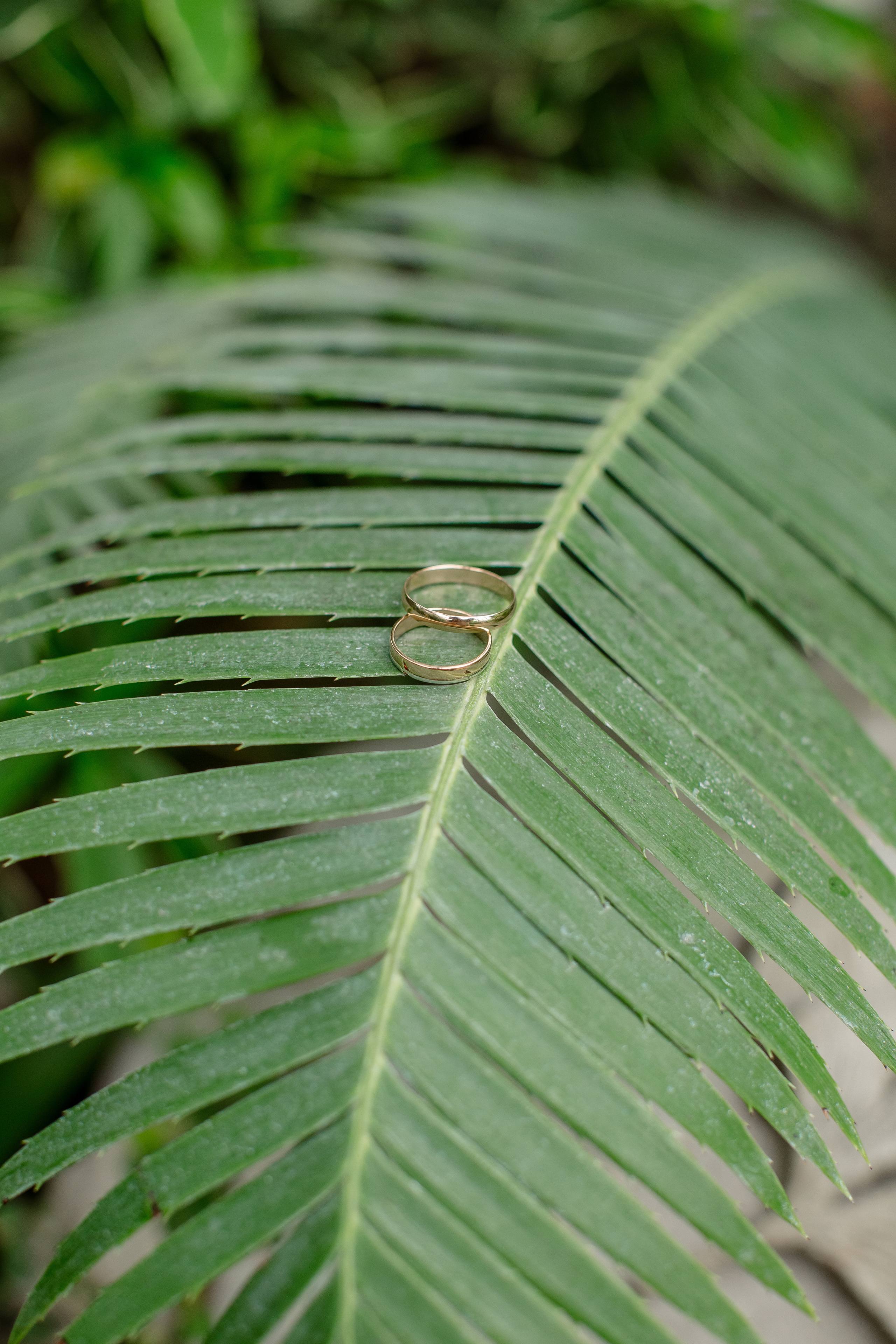 Стоймость свадебной фотосессии в Твери. Свадебный фотограф в Тверь, Москва