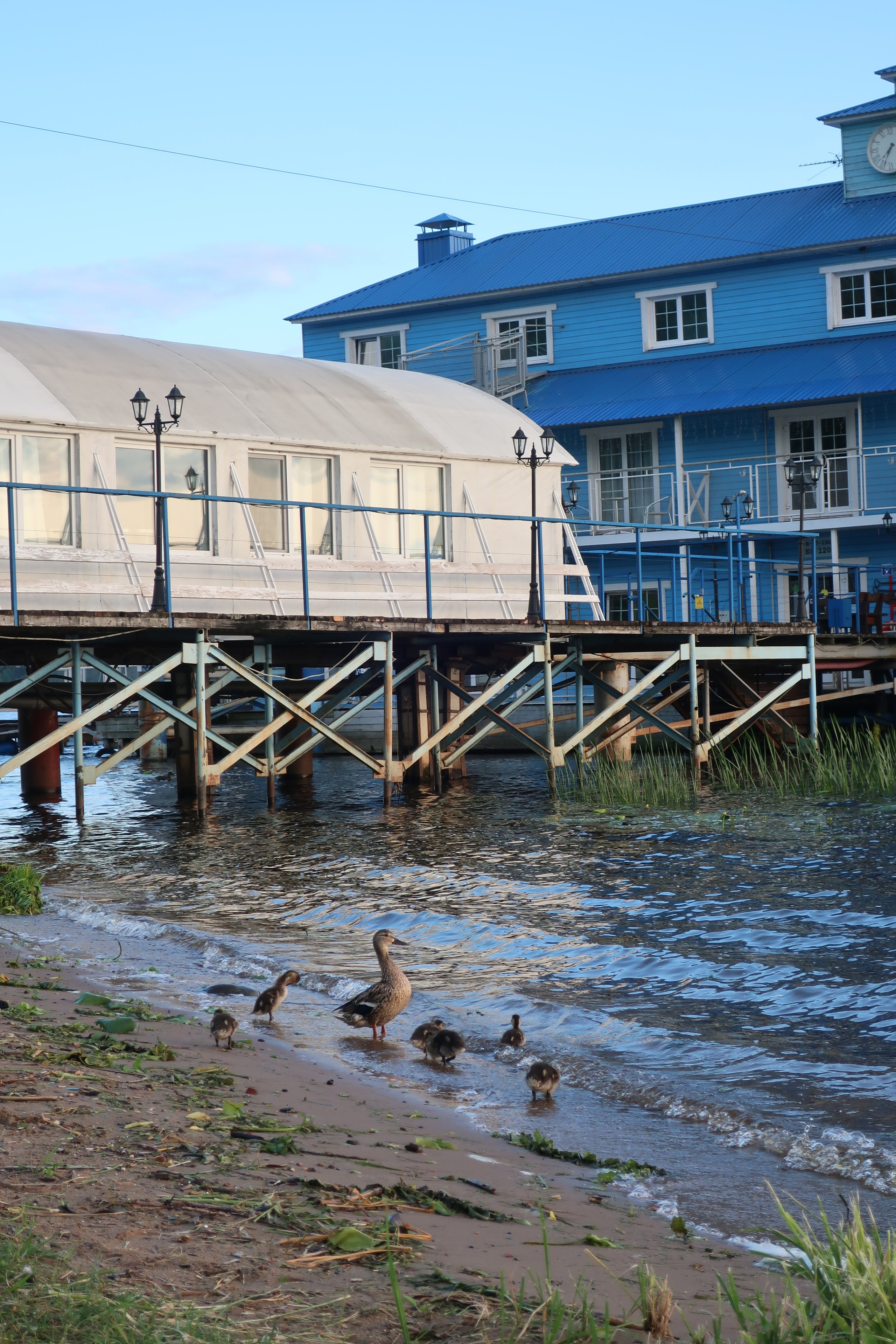 Фотопрогулка по дождливой Костроме, ч.2: улицы города и дворы. Проект «Фотокладовка»: блог уличной фотографии в формате street photo