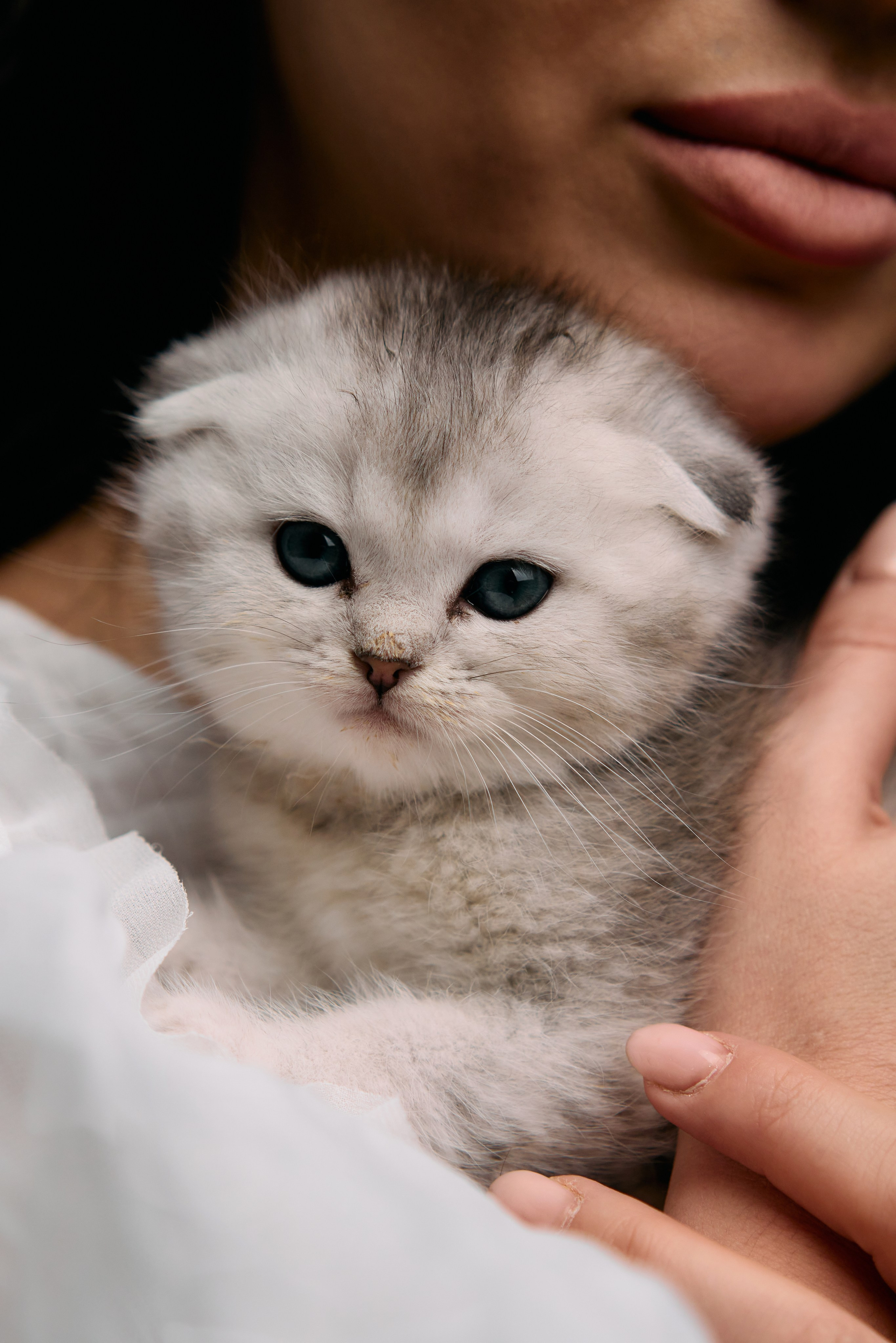 Хотите мгновенно улучшить любую фотографию?. Фотограф Виталий Сид: профессиональная фотосъемка, обучение и новости индустрии