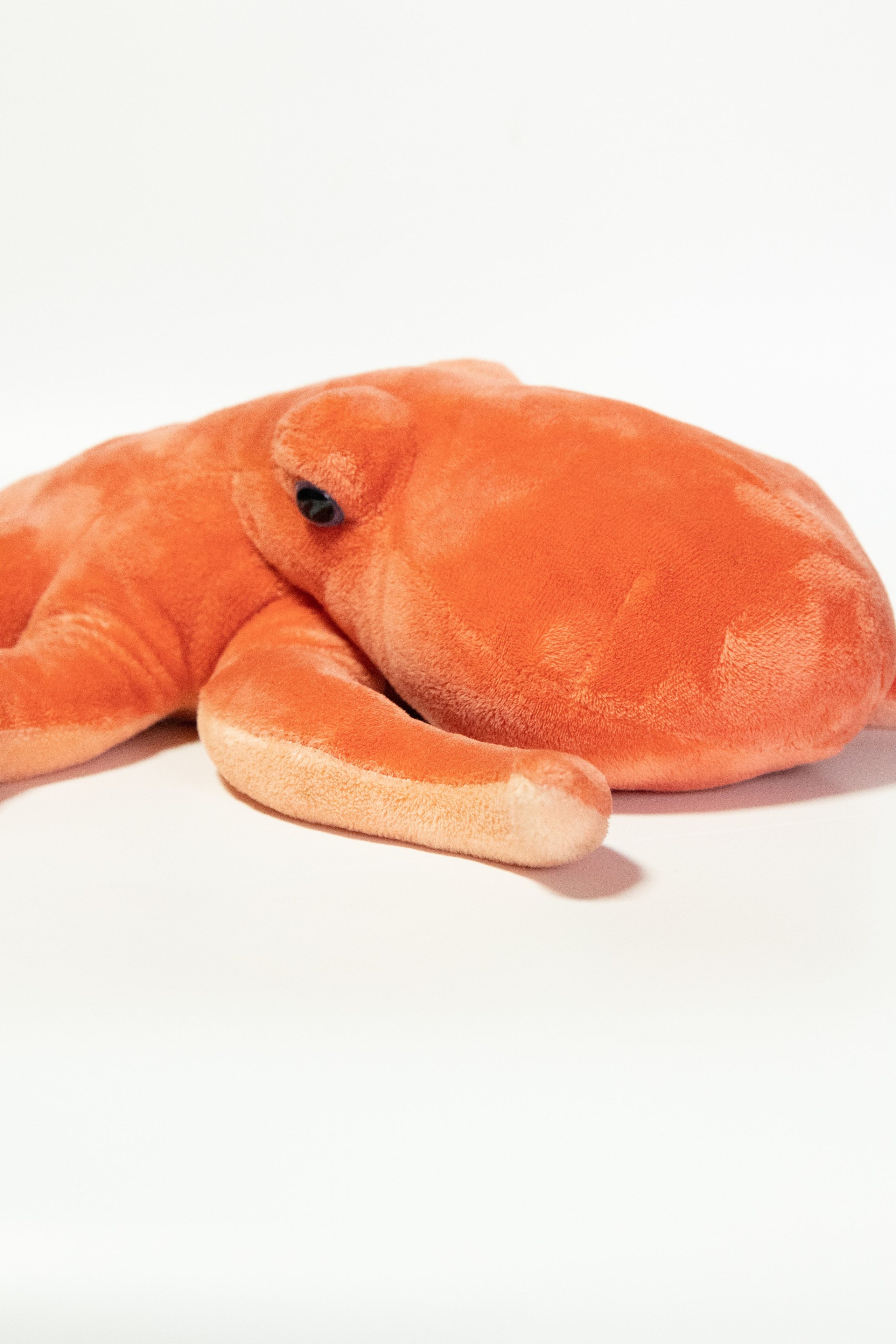 Почему цвет товара отличается на фотографиях и в жизни: ошибки предметной фотосъёмки и как их избежать. Фото и видео контент для бизнеса в Москве и Московской области