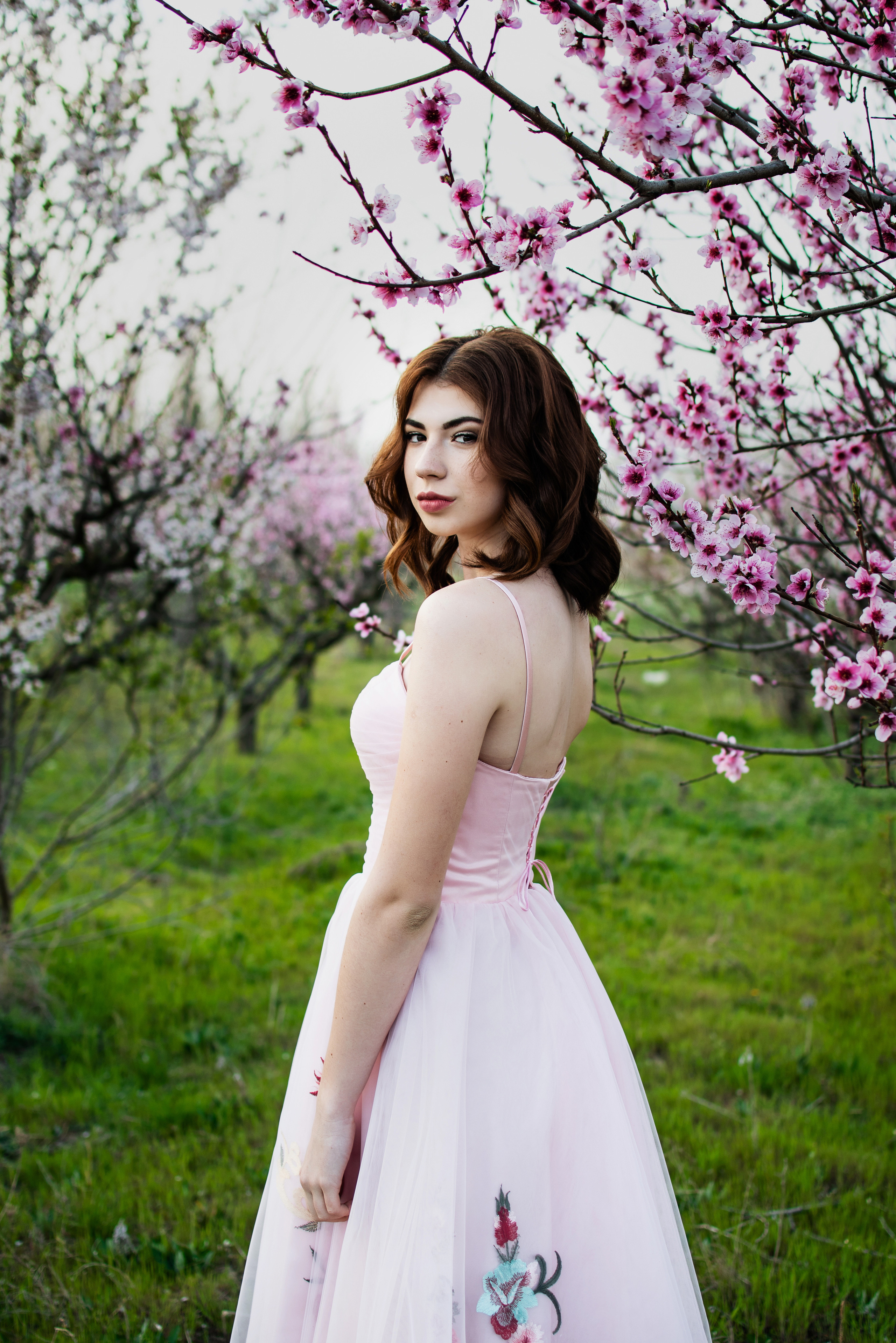 фотосессия в персиках Севастополь, фотосессия в персиковых садах Крым, фотосессия в цветущих садах Севастополь, фотосессия в Крыму, фотосессия в Севастополе, цветущие сады Крым, цветущие сады Севастополь, фотограф Крым, фотограф в Крыму, фотосессия в цветах Севастополь, фотограф Севастополь, фотограф в Севастополе, цветущие сады в Крыму, цветущие сады в Севастополе