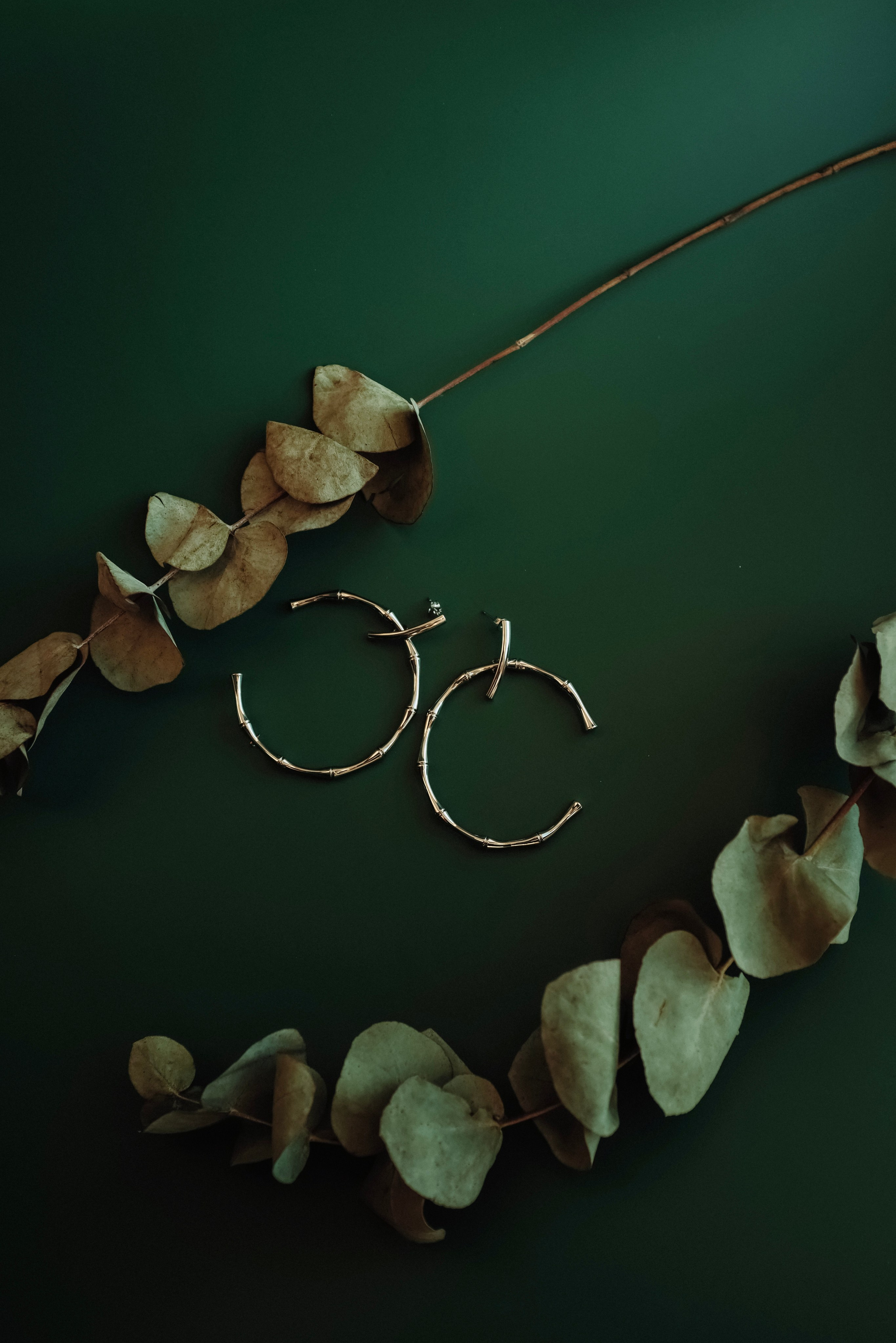 Голосование. Калужский городской фотоконкурс