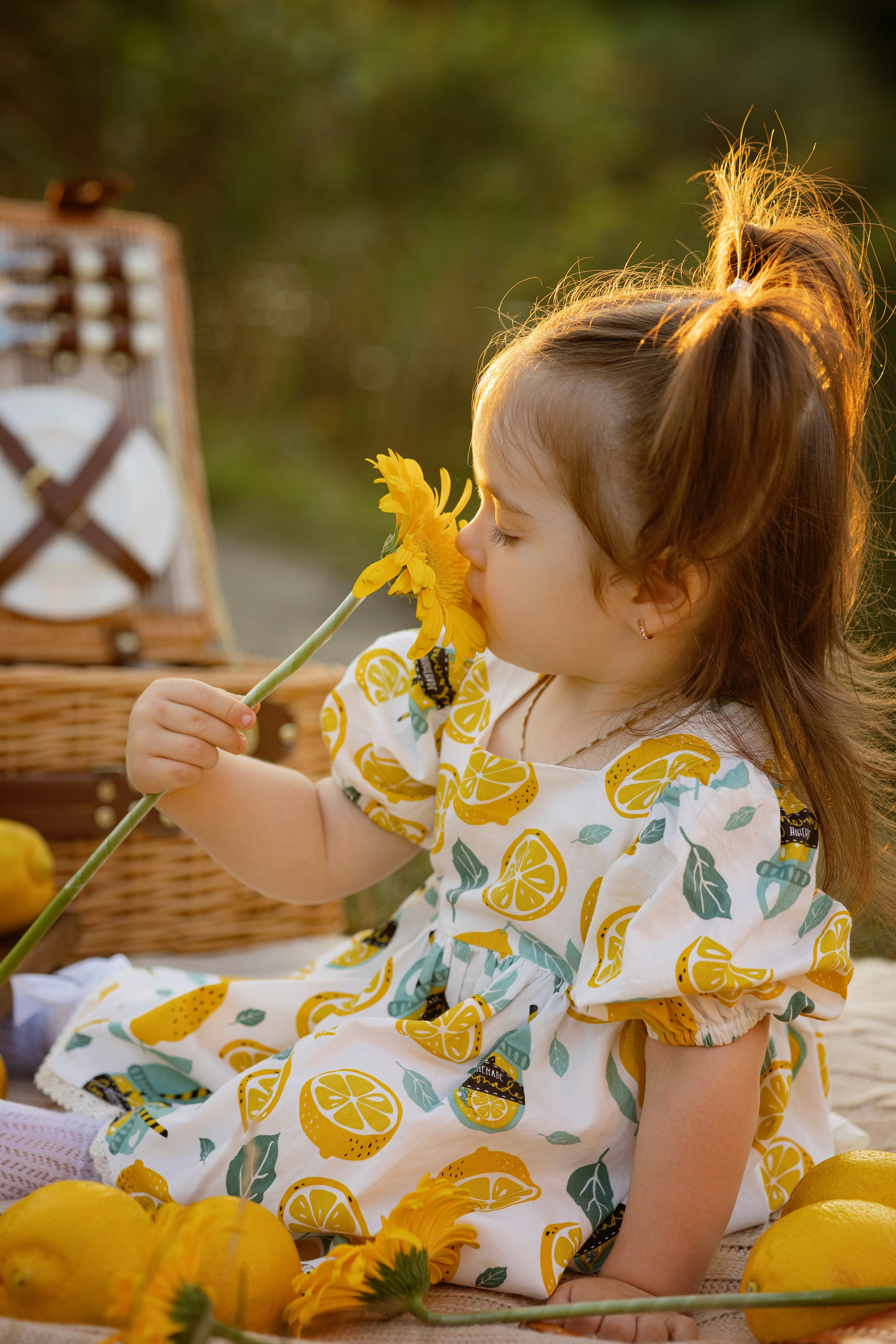 Стоимость фотосессий и мероприятий. Свадебный и семейный фотограф Майкоп Галина Кизилова