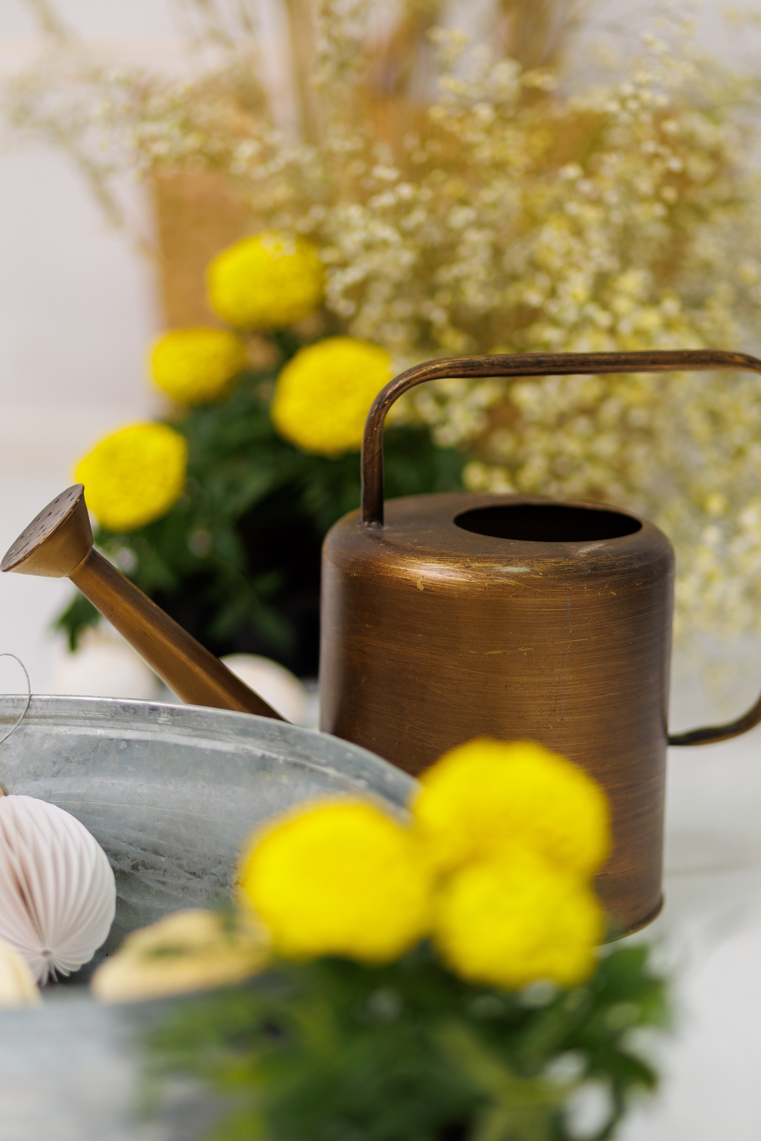 СВЕТЛАЯ ПАСХА. Фотограф Лодейное Поле Екатерина Герасимова в Санкт-Петербурге и Лен. области