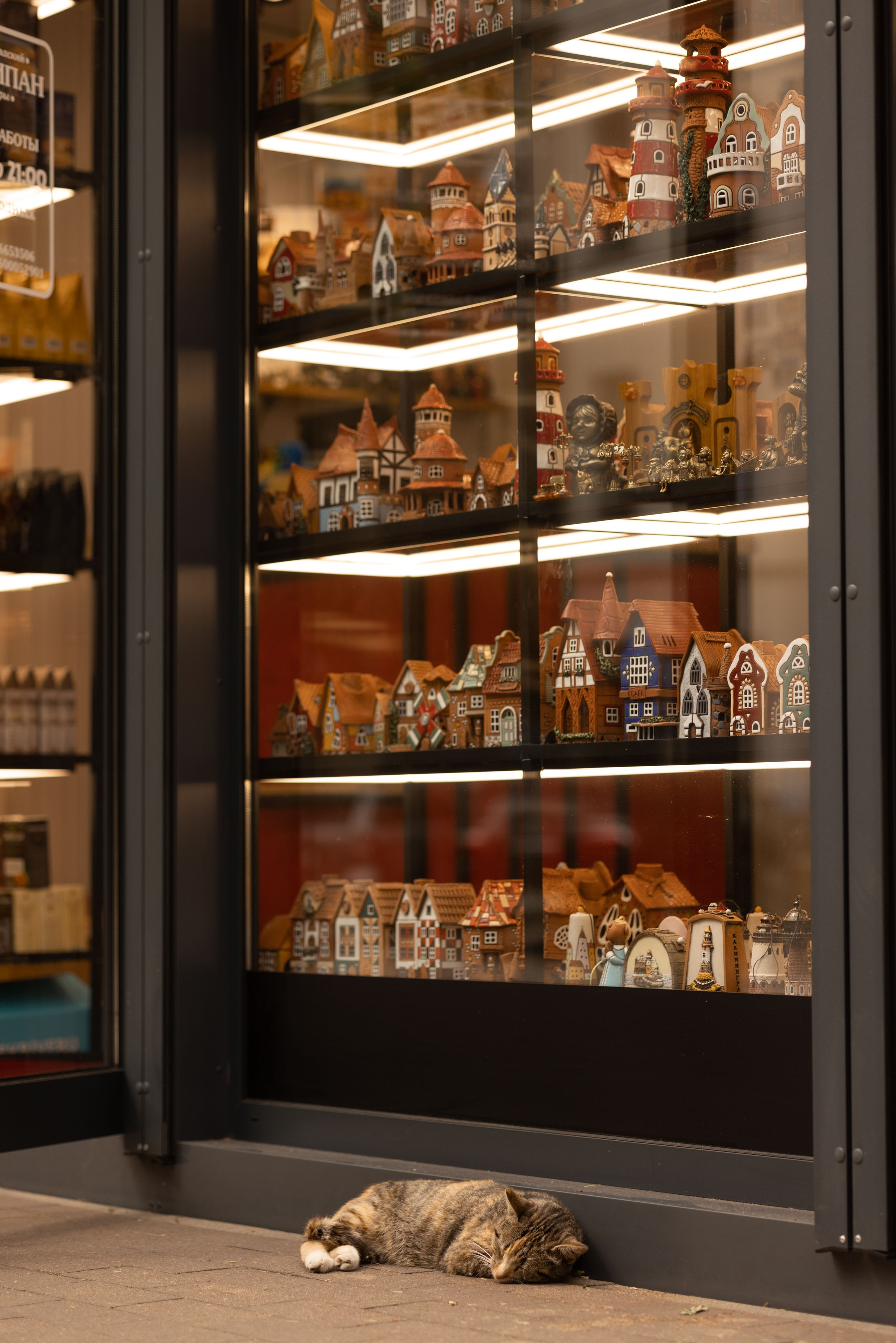 Летняя симфония Светлогорска. Семейный фотограф в Калининграде Надежда Гриднева