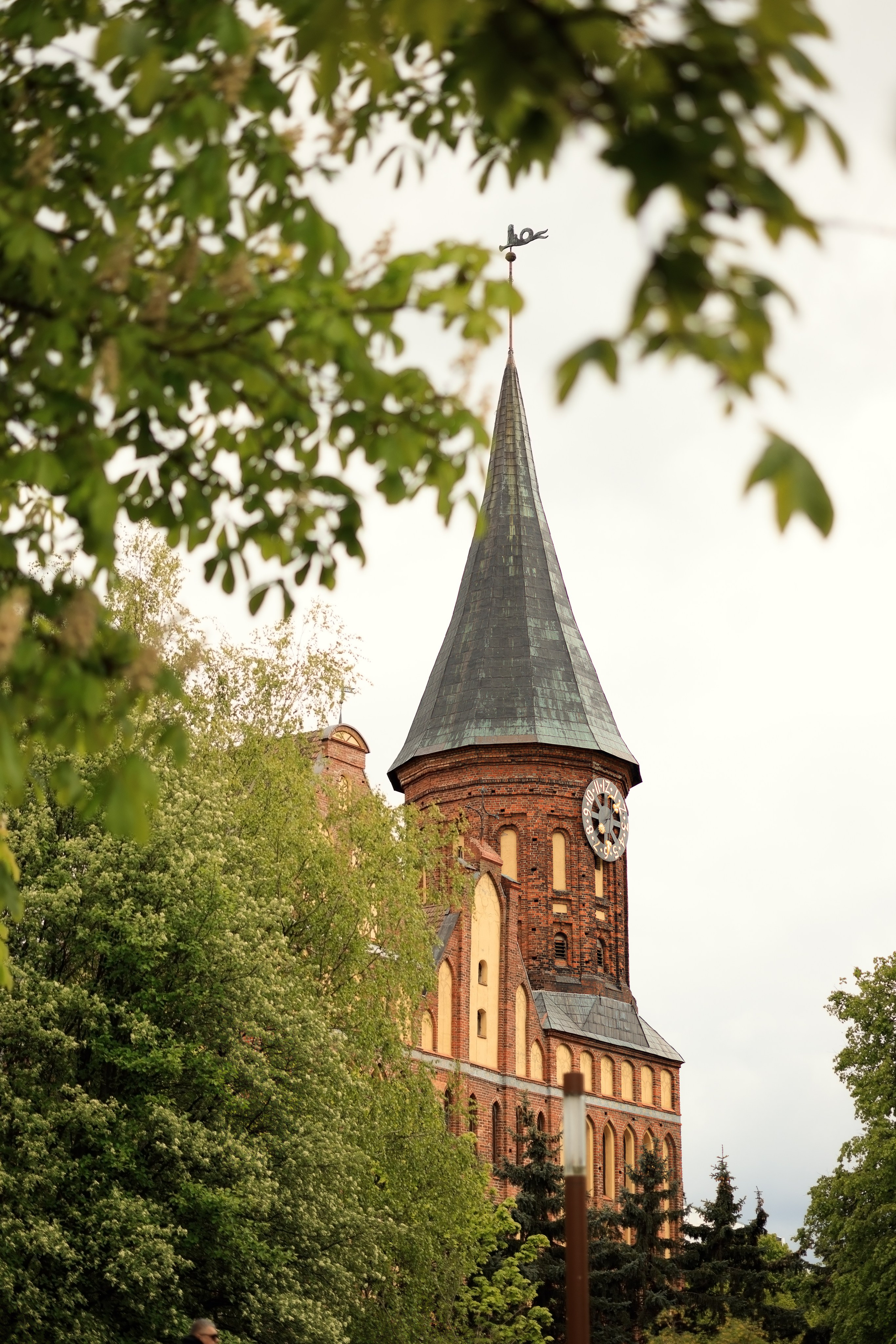 Королевство цветущих каштанов. Семейный фотограф в Калининграде Надежда Гриднева