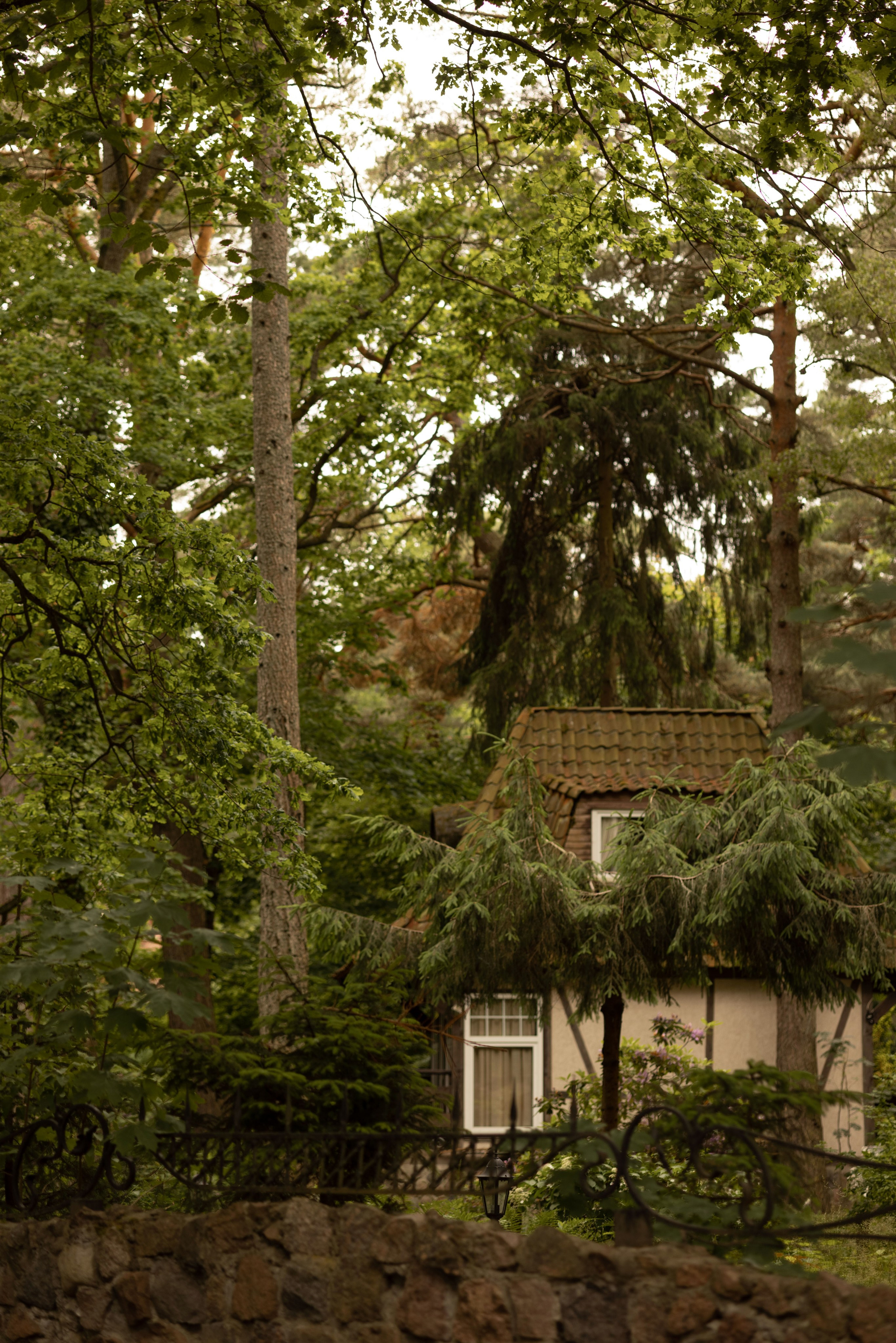 Летняя симфония Светлогорска. Семейный фотограф в Калининграде Надежда Гриднева