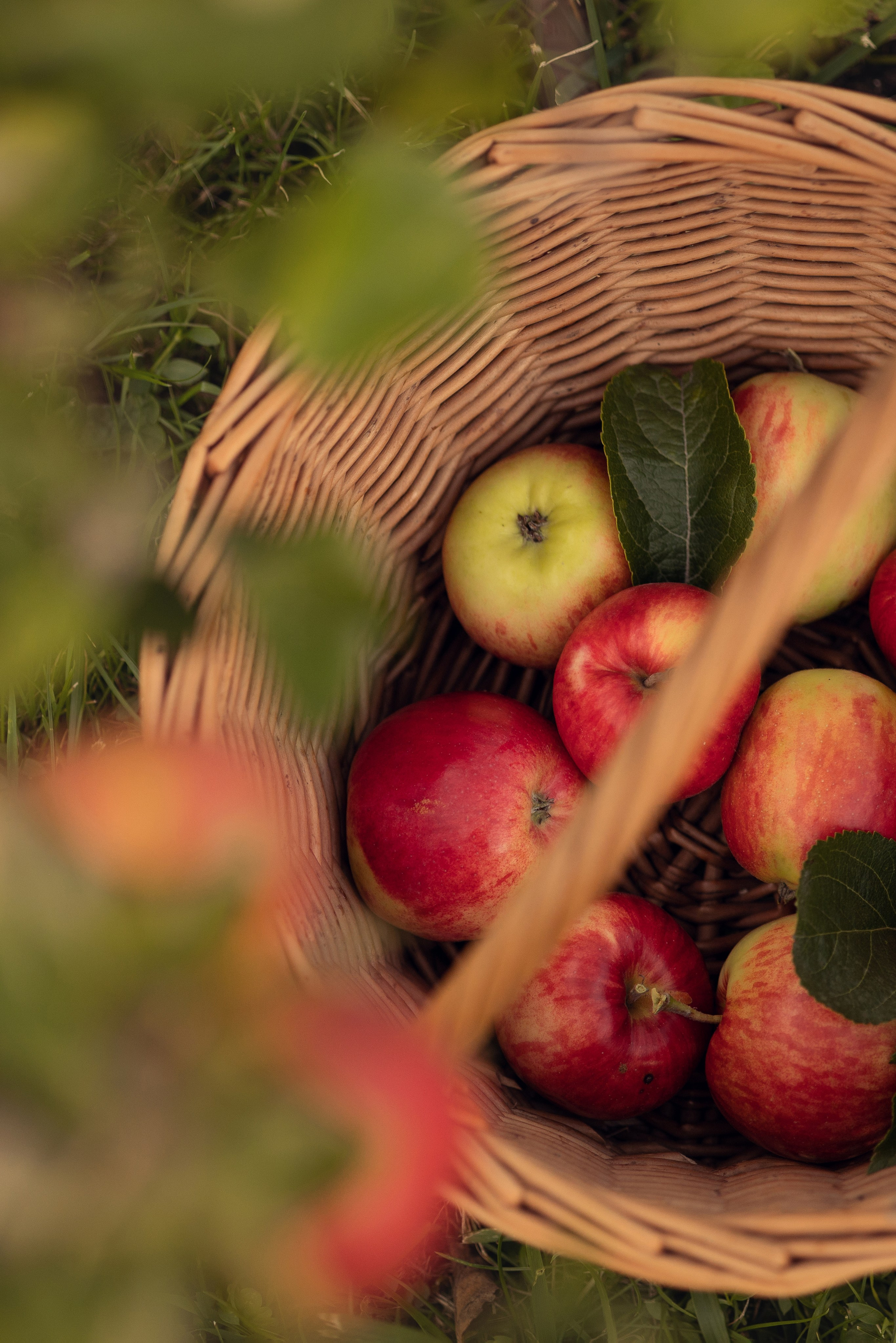 31 августа. Семейный фотограф в Калининграде Надежда Гриднева