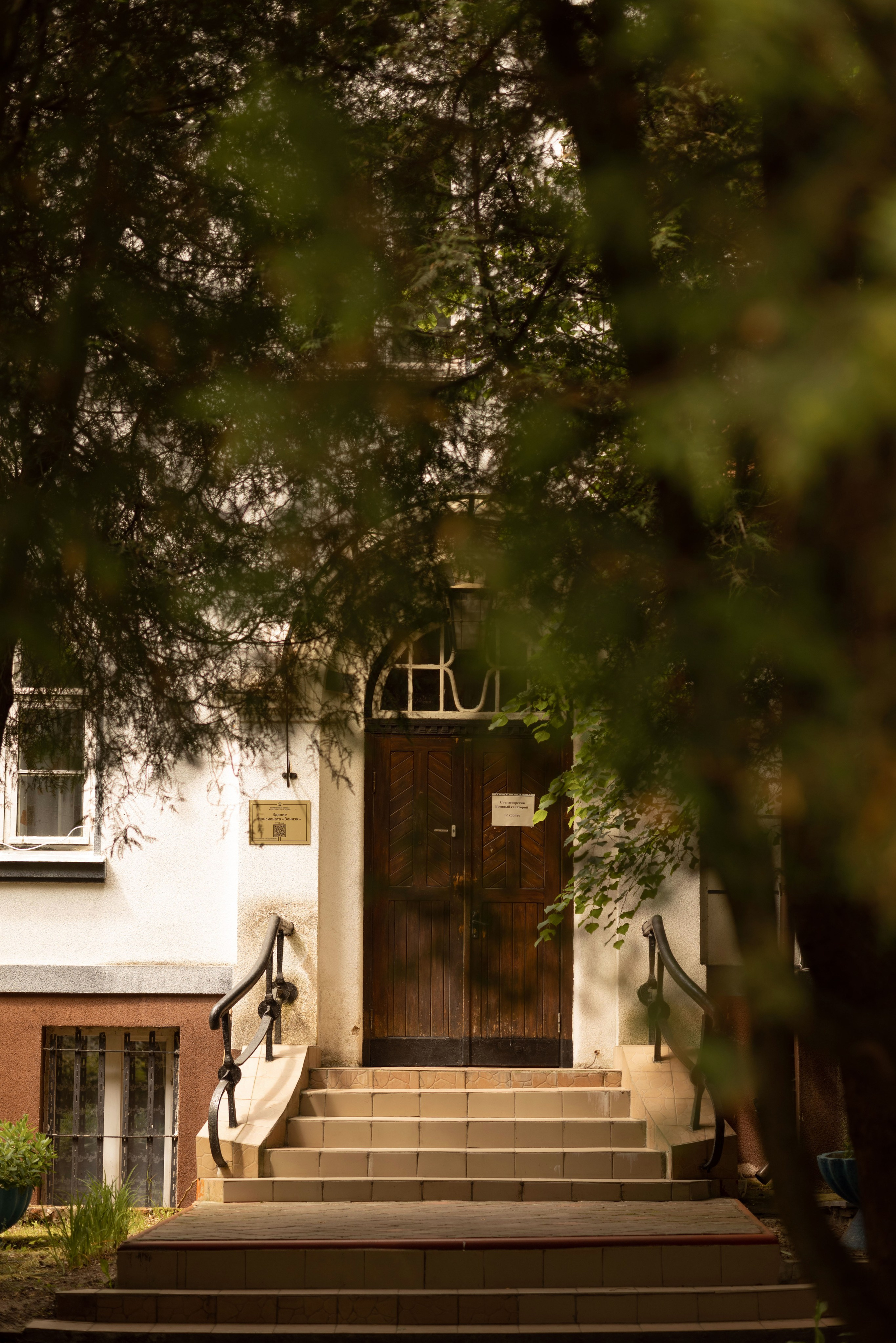 Летняя симфония Светлогорска. Семейный фотограф в Калининграде Надежда Гриднева