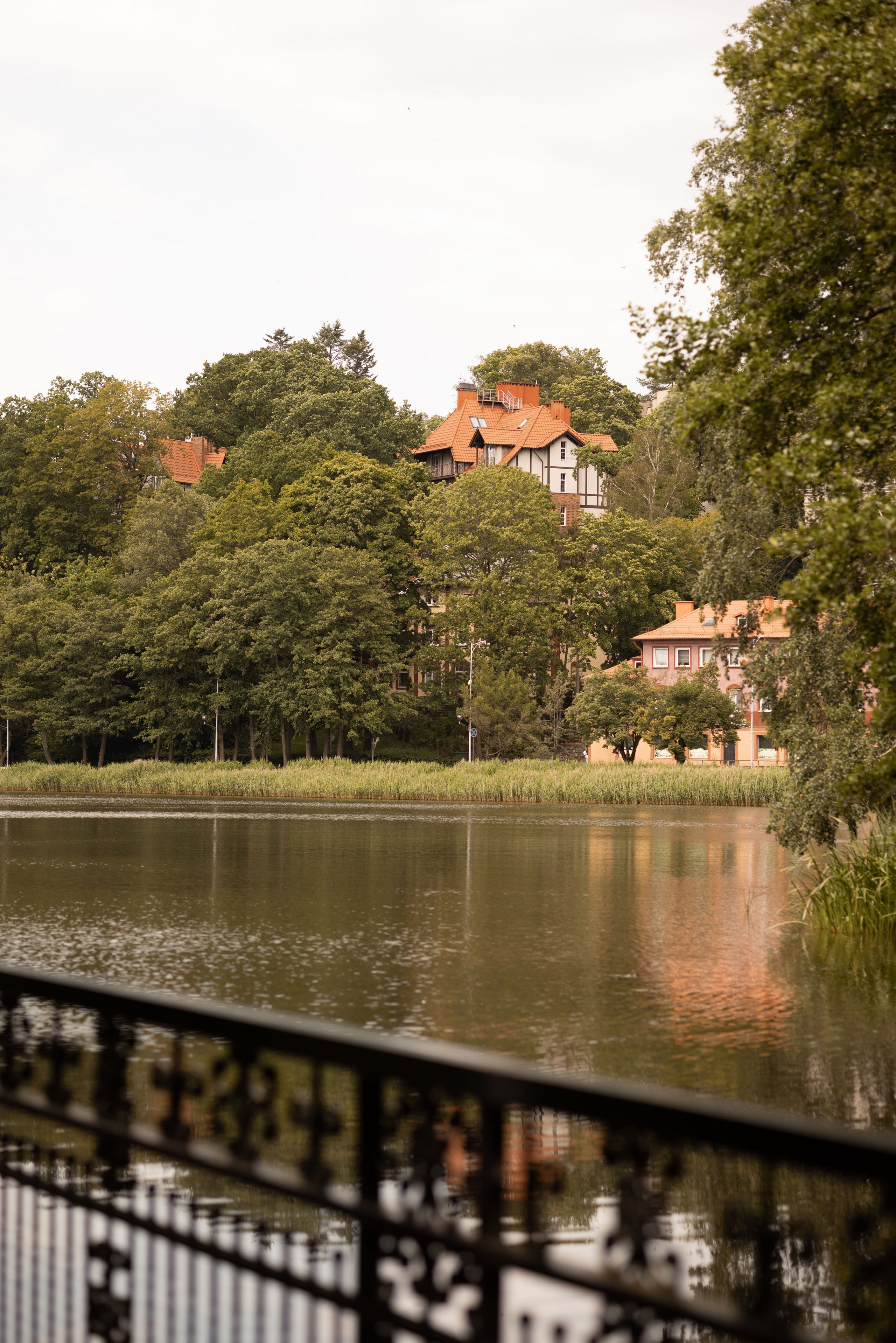 Летняя симфония Светлогорска. Семейный фотограф в Калининграде Надежда Гриднева