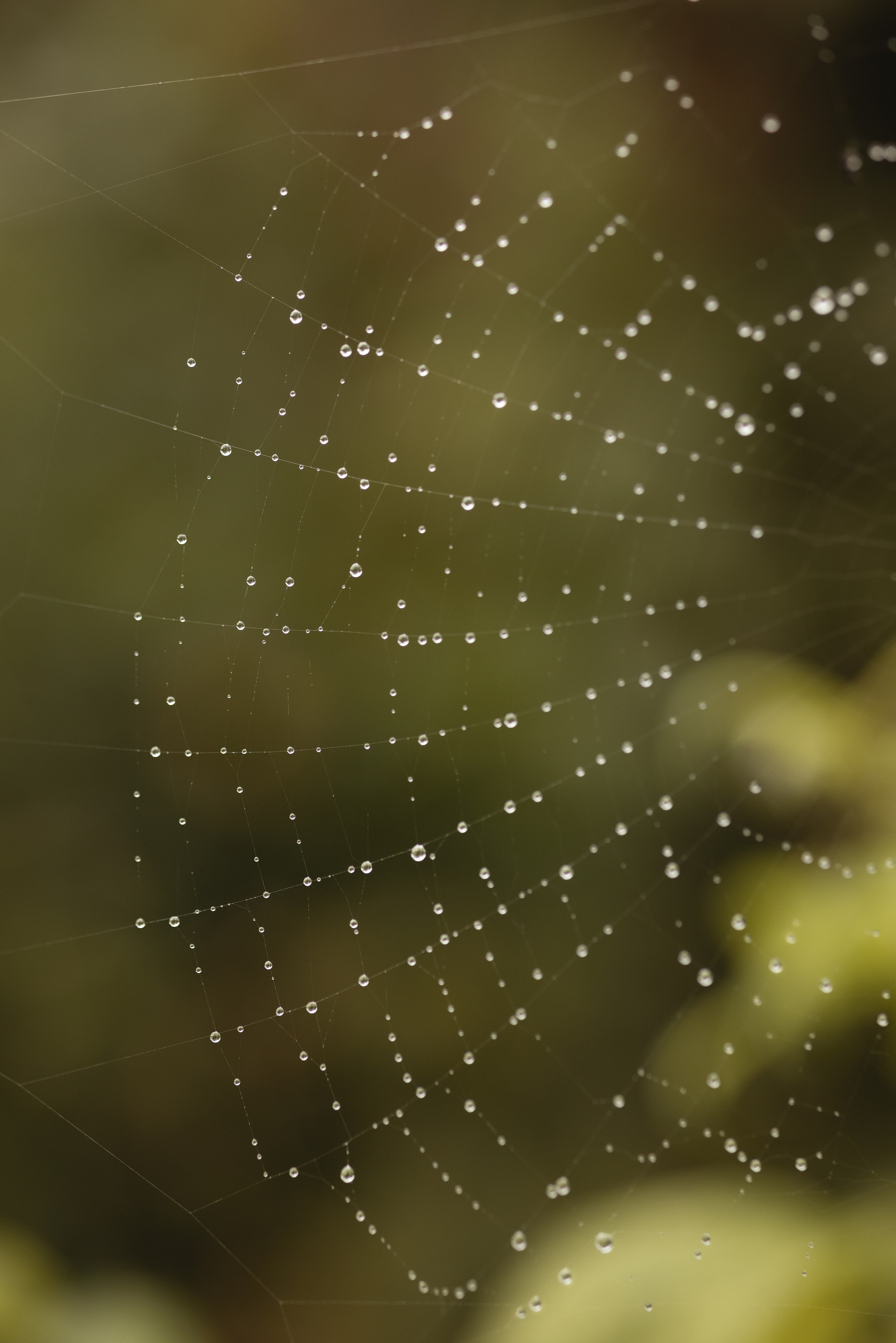 31 августа. Семейный фотограф в Калининграде Надежда Гриднева