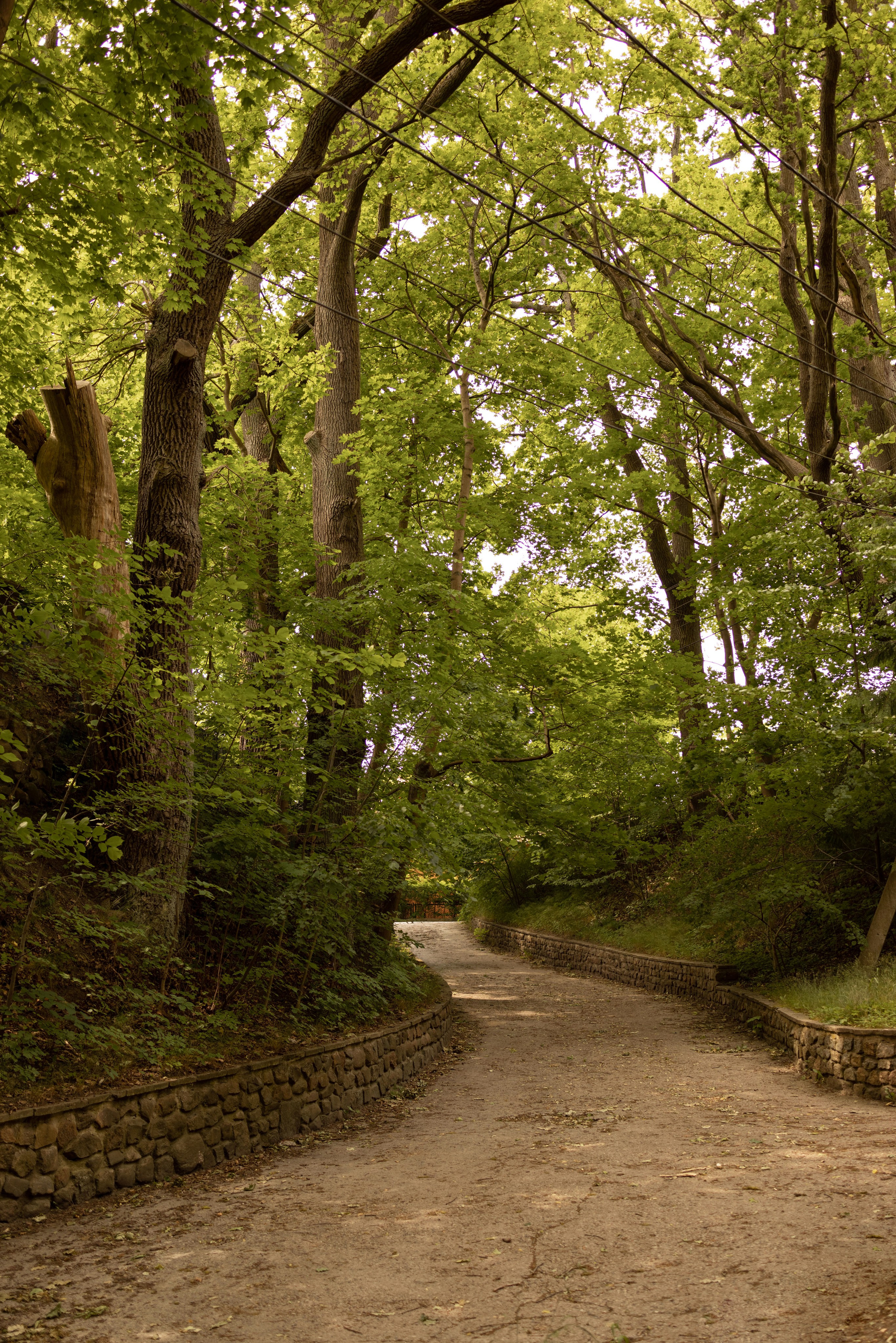 Летняя симфония Светлогорска. Семейный фотограф в Калининграде Надежда Гриднева