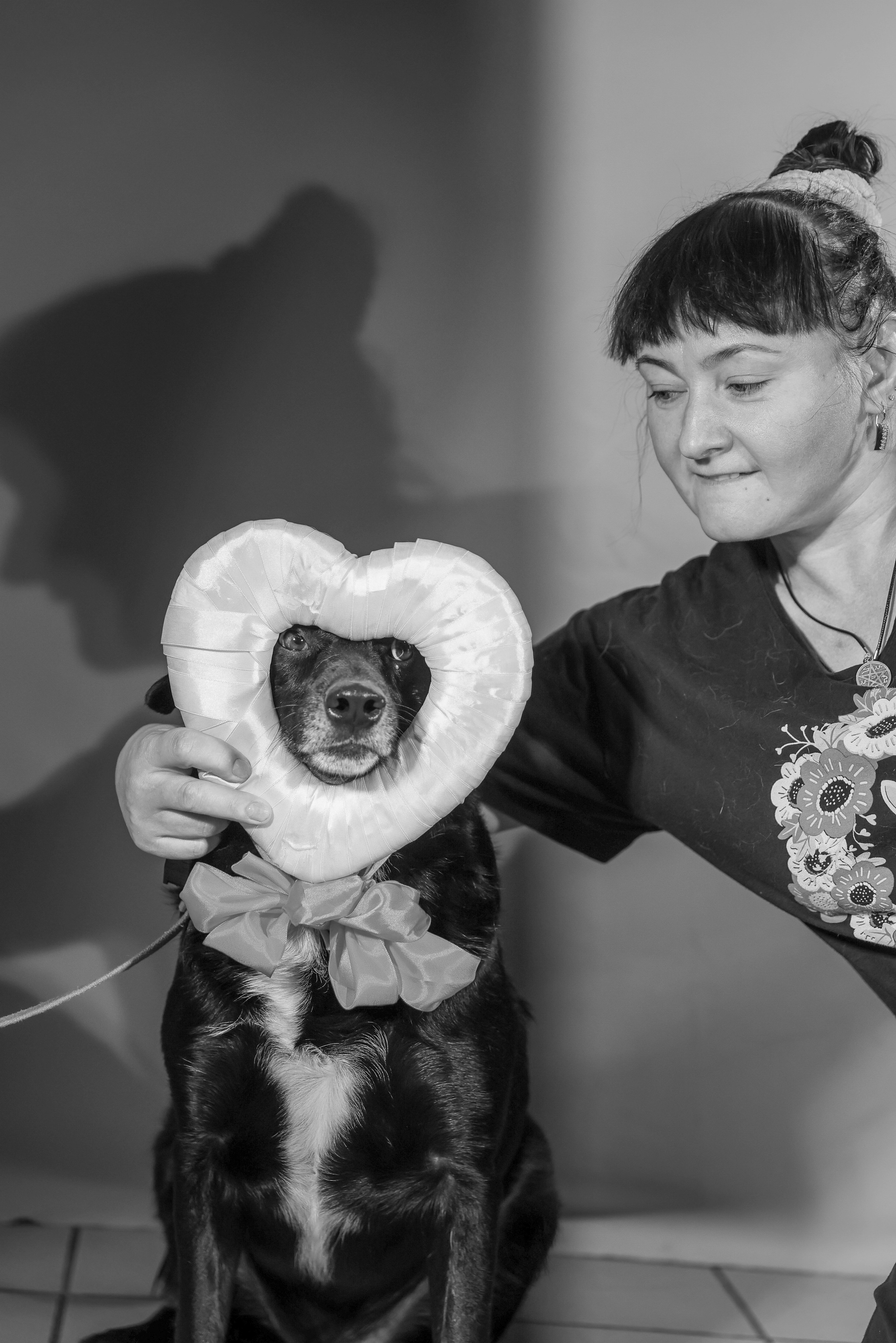 Приют четвероногий АНГЕЛ. Фотограф 📸 семейный, предметный, репортажный