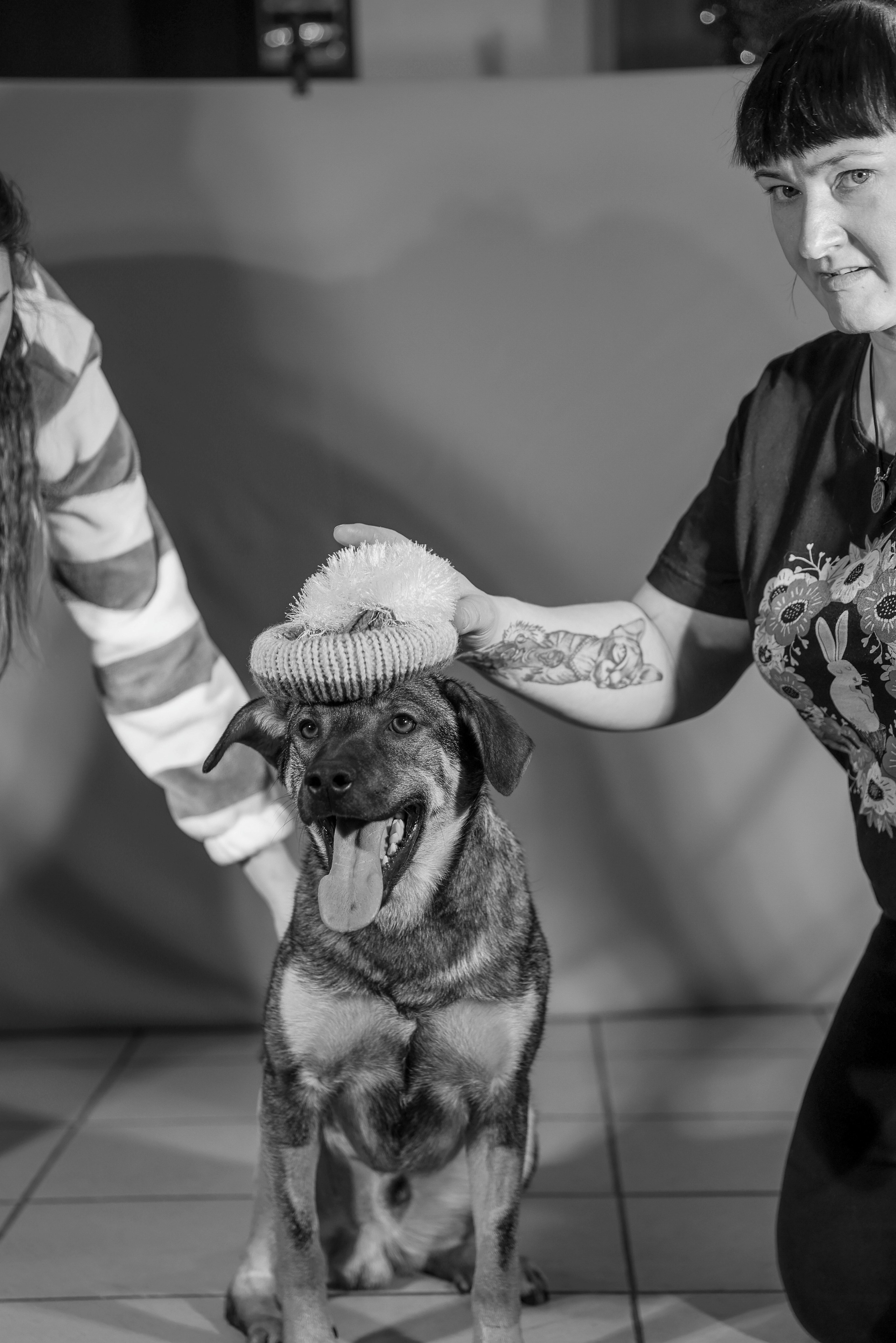 Приют четвероногий АНГЕЛ. Фотограф 📸 семейный, предметный, репортажный