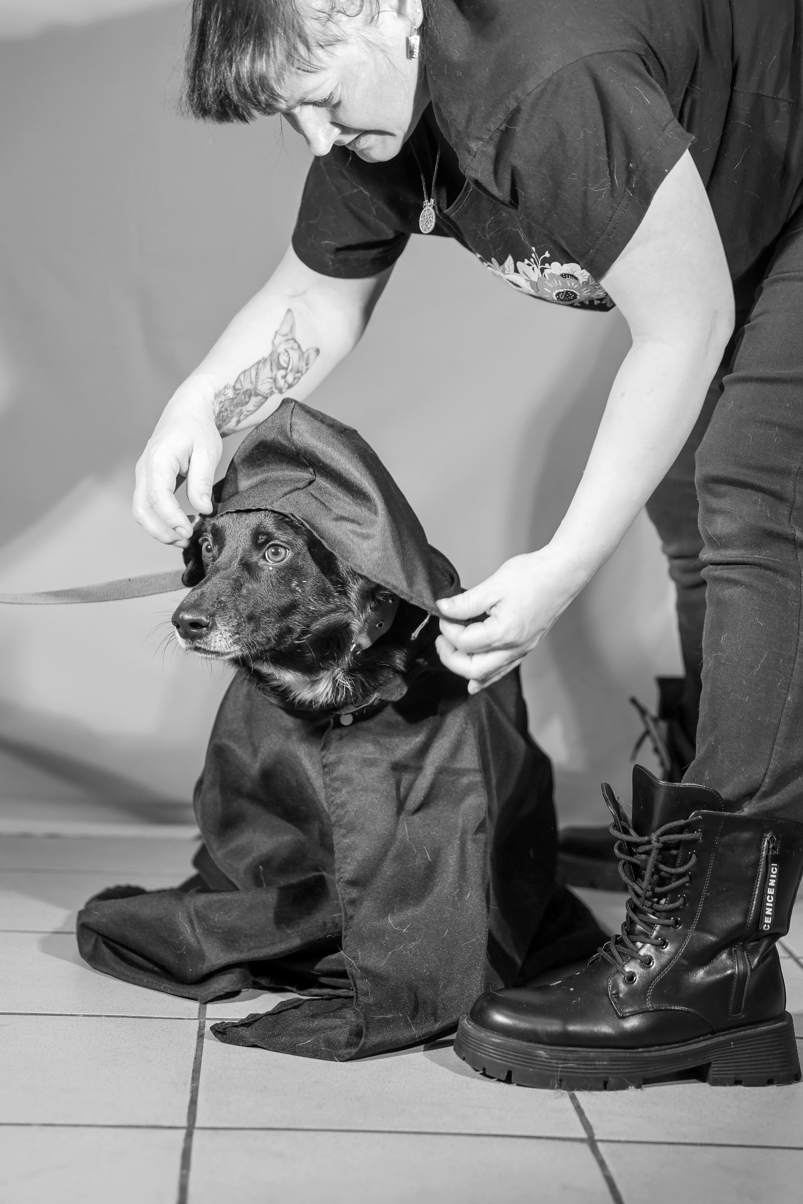 Приют четвероногий АНГЕЛ. Фотограф 📸 семейный, предметный, репортажный