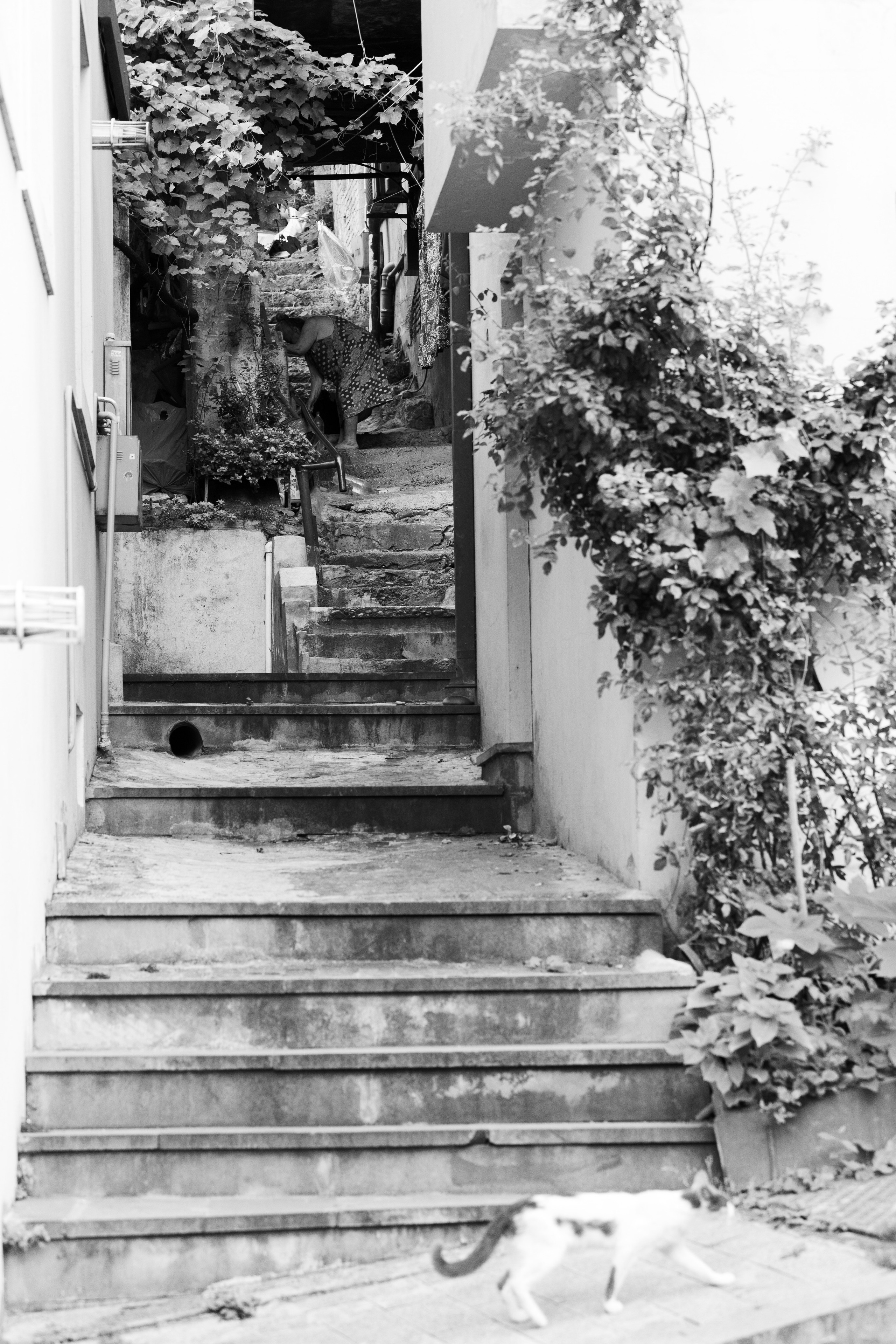 Фотография, Грузия, Тбилиси. 