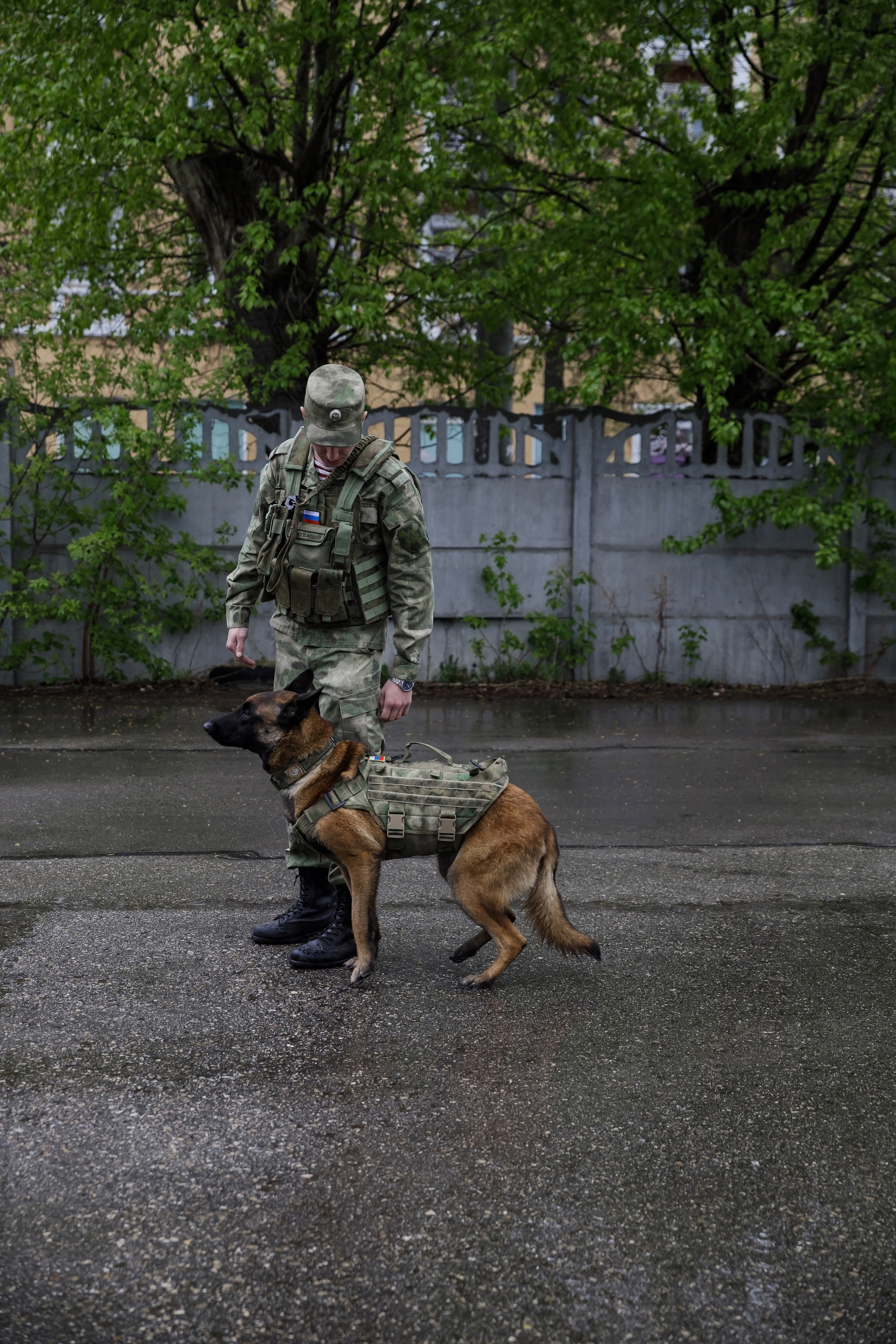 Праздник посвященный героям ВОВ-кинологам и их собакам. НРОО КЦ "Собаковод"