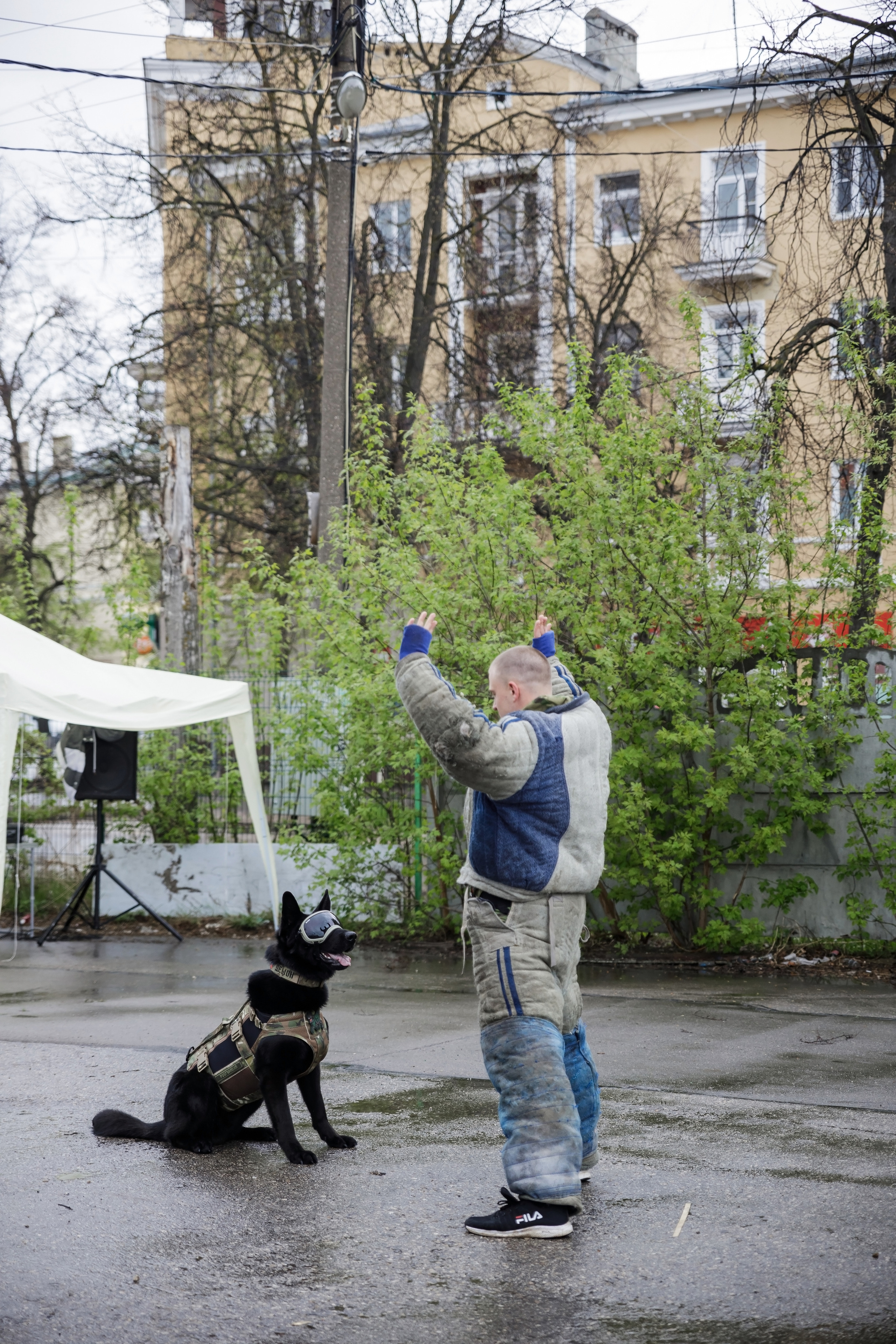 Праздник посвященный героям ВОВ-кинологам и их собакам. НРОО КЦ "Собаковод"