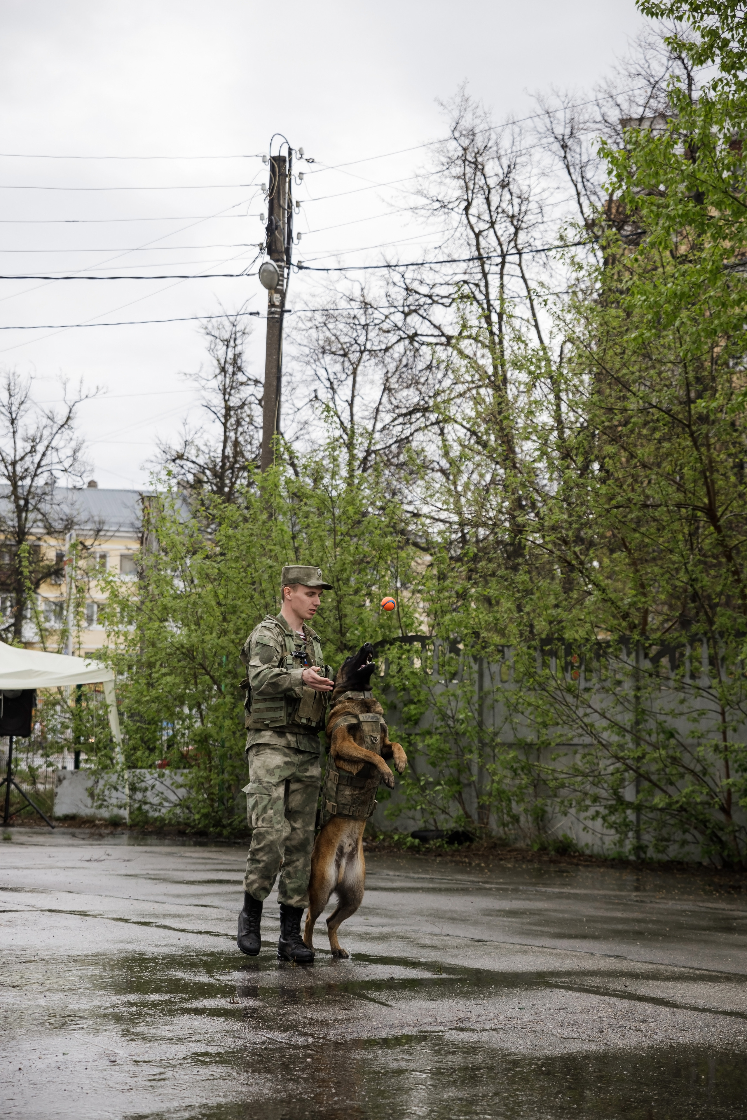 Праздник посвященный героям ВОВ-кинологам и их собакам. НРОО КЦ "Собаковод"