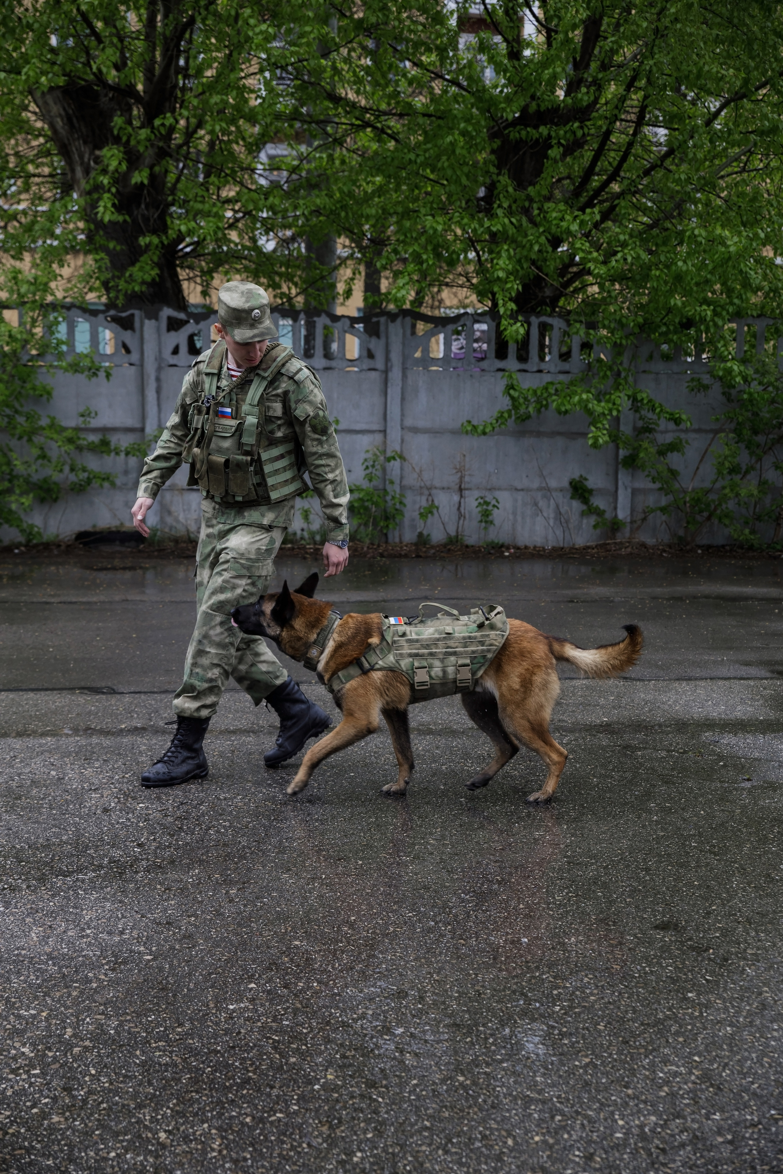 Праздник посвященный героям ВОВ-кинологам и их собакам. НРОО КЦ "Собаковод"