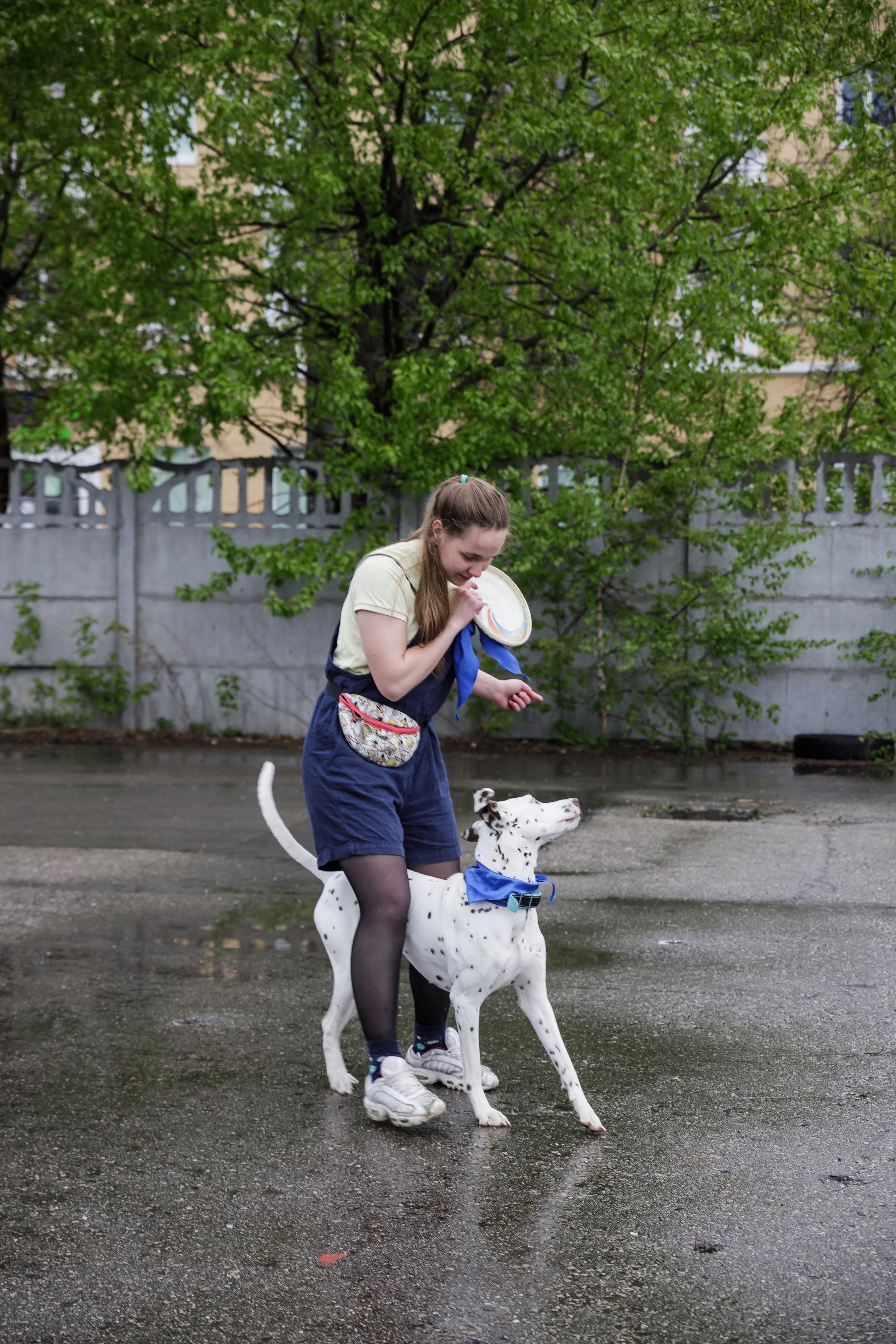 Праздник посвященный героям ВОВ-кинологам и их собакам. НРОО КЦ "Собаковод"
