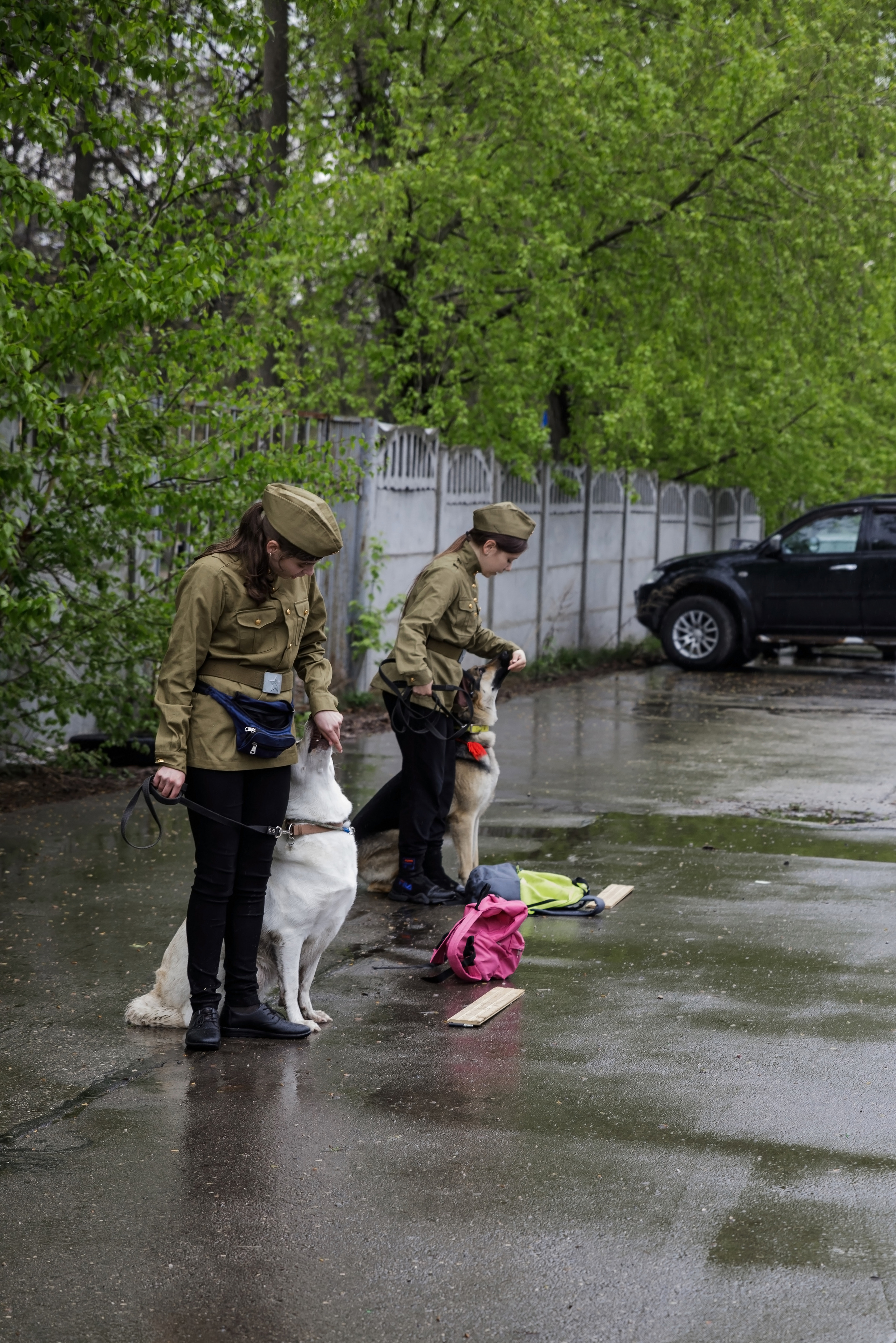 Праздник посвященный героям ВОВ-кинологам и их собакам. НРОО КЦ "Собаковод"