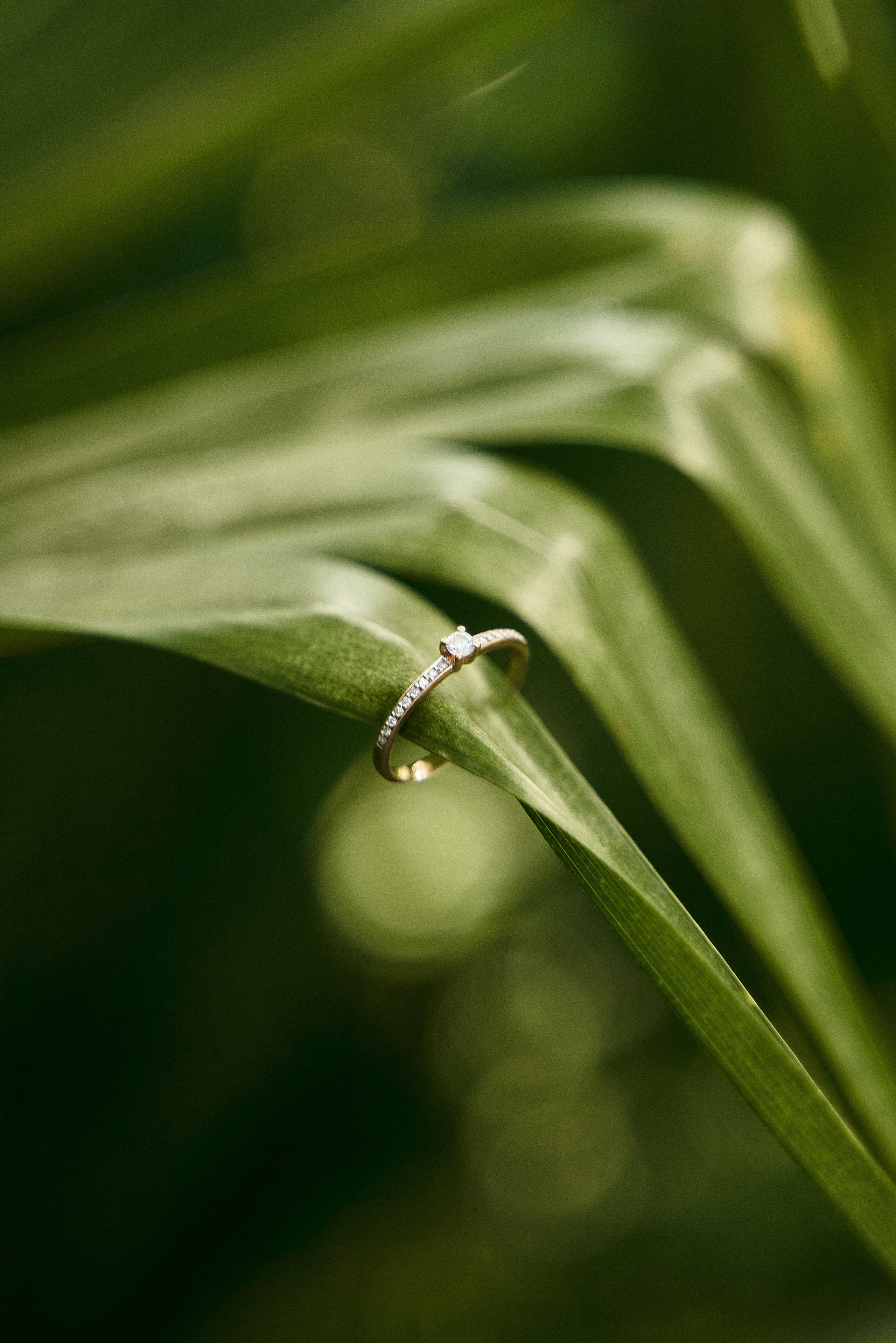 Маршруты. Фотограф в Санкт-Петербурге | Аня Маленчук