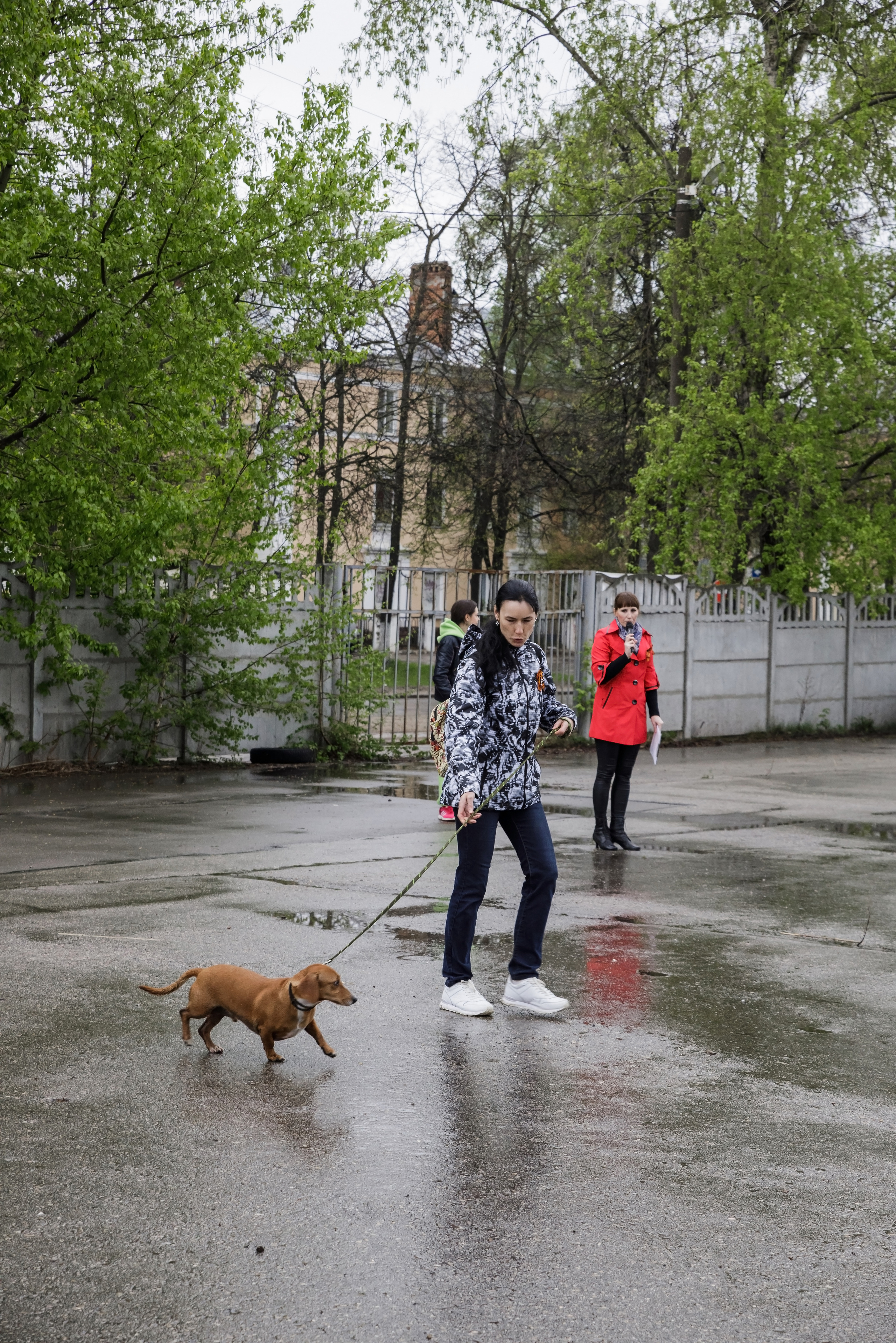 Третья выставка беспородных собак «Для дружбы не важна порода». НРОО КЦ "Собаковод"
