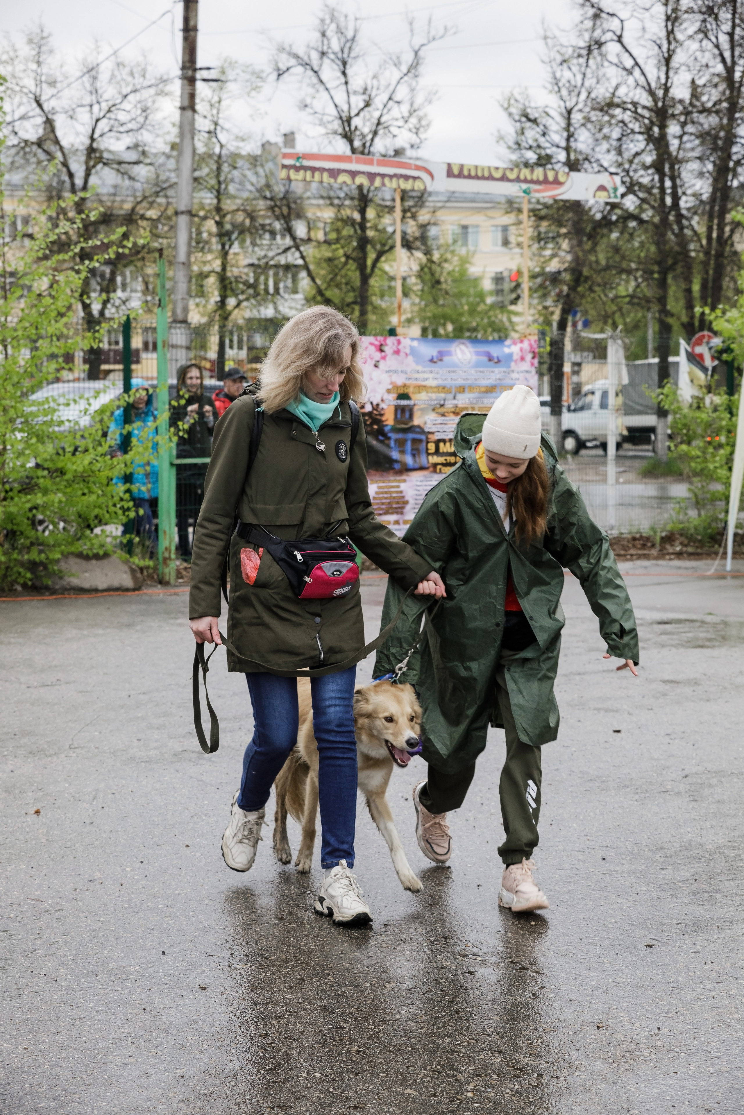 Третья выставка беспородных собак «Для дружбы не важна порода». НРОО КЦ "Собаковод"