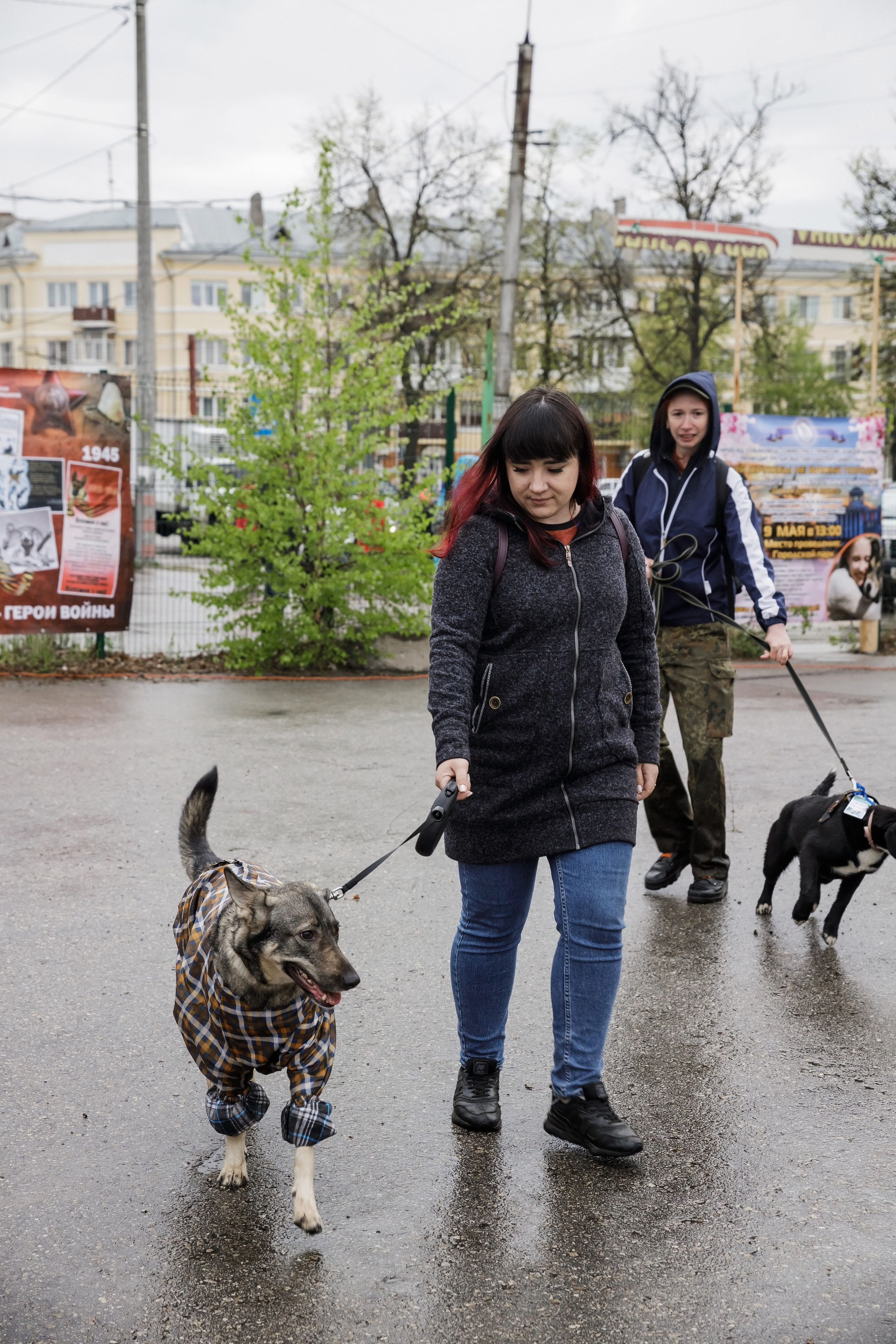 Третья выставка беспородных собак «Для дружбы не важна порода». НРОО КЦ "Собаковод"