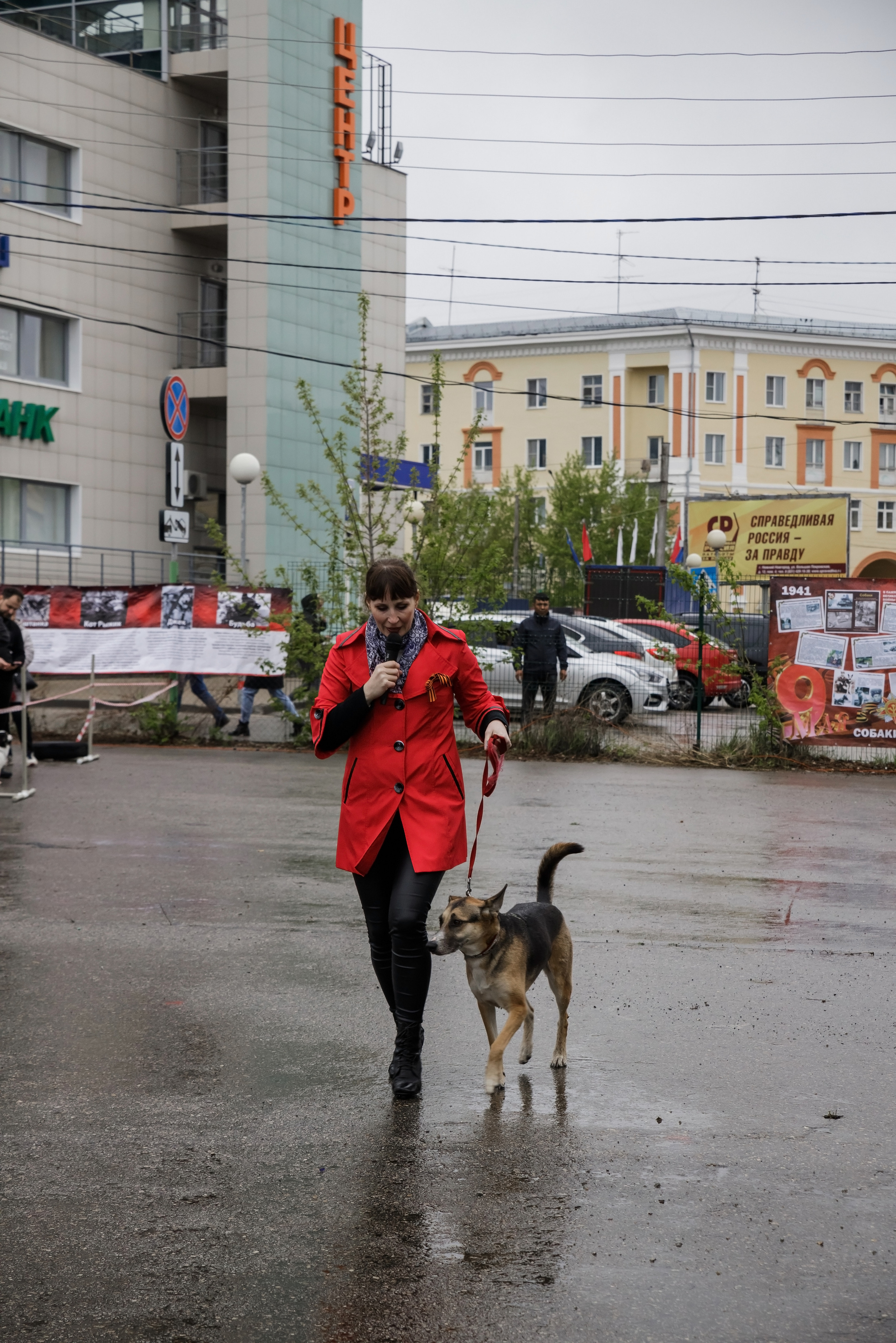 Третья выставка беспородных собак «Для дружбы не важна порода». НРОО КЦ "Собаковод"