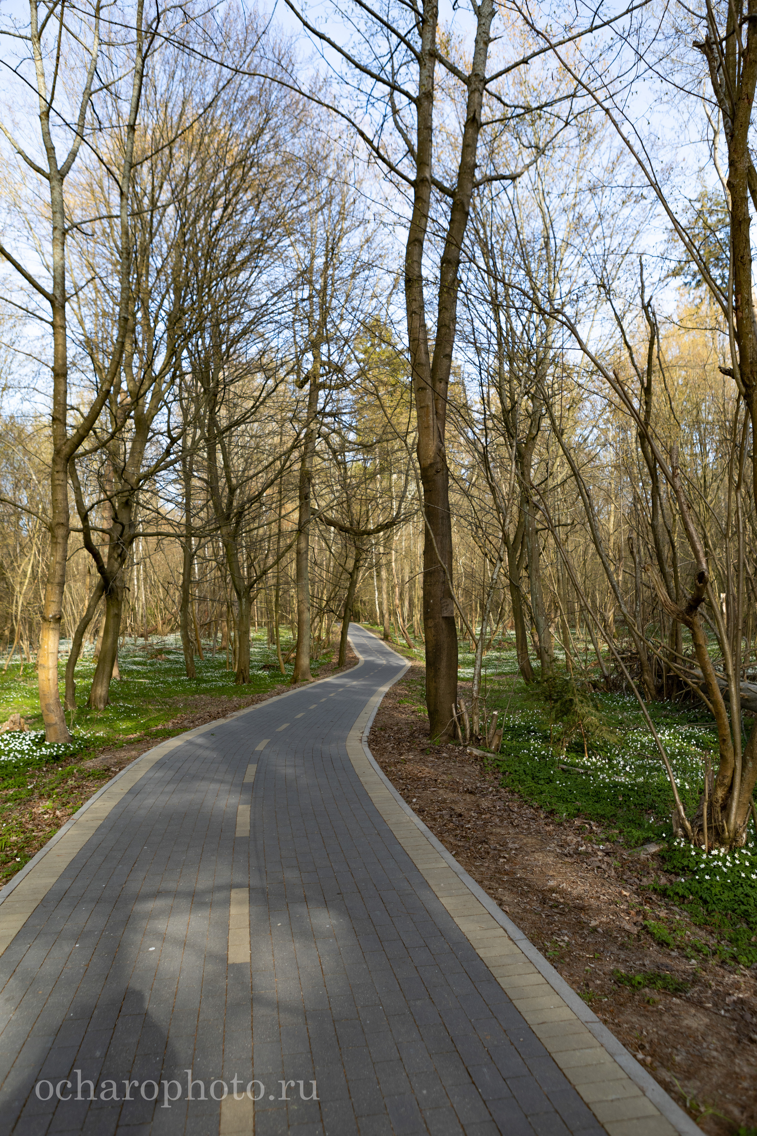 Незаурядное Отрадное. AI-контент (генерации ИИ-фото и видео), стоковые фотографии Калининградской области