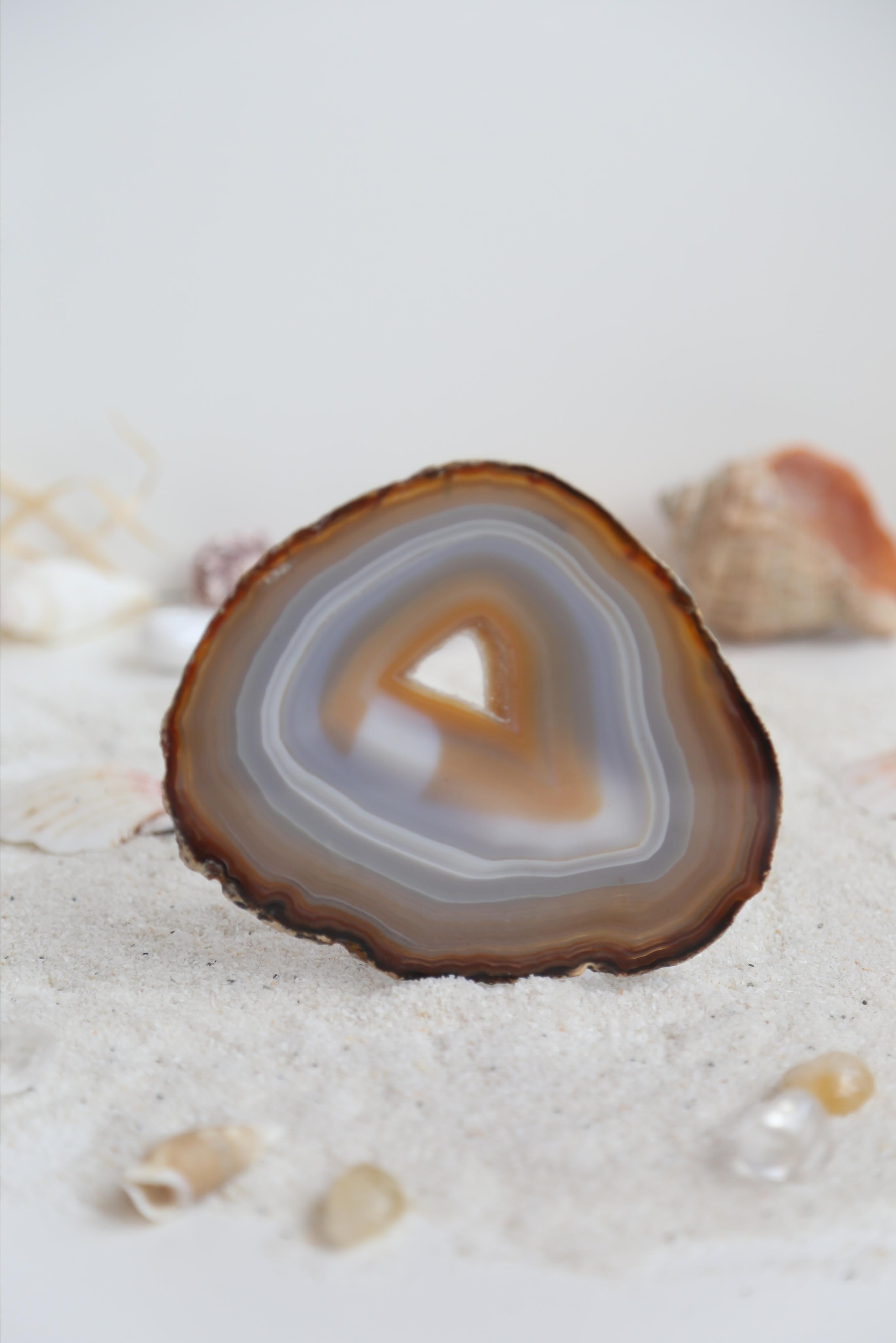 Услуги. SAAVIK design — Керамика \ Зефирная флористика \Handmade\ Краснодар