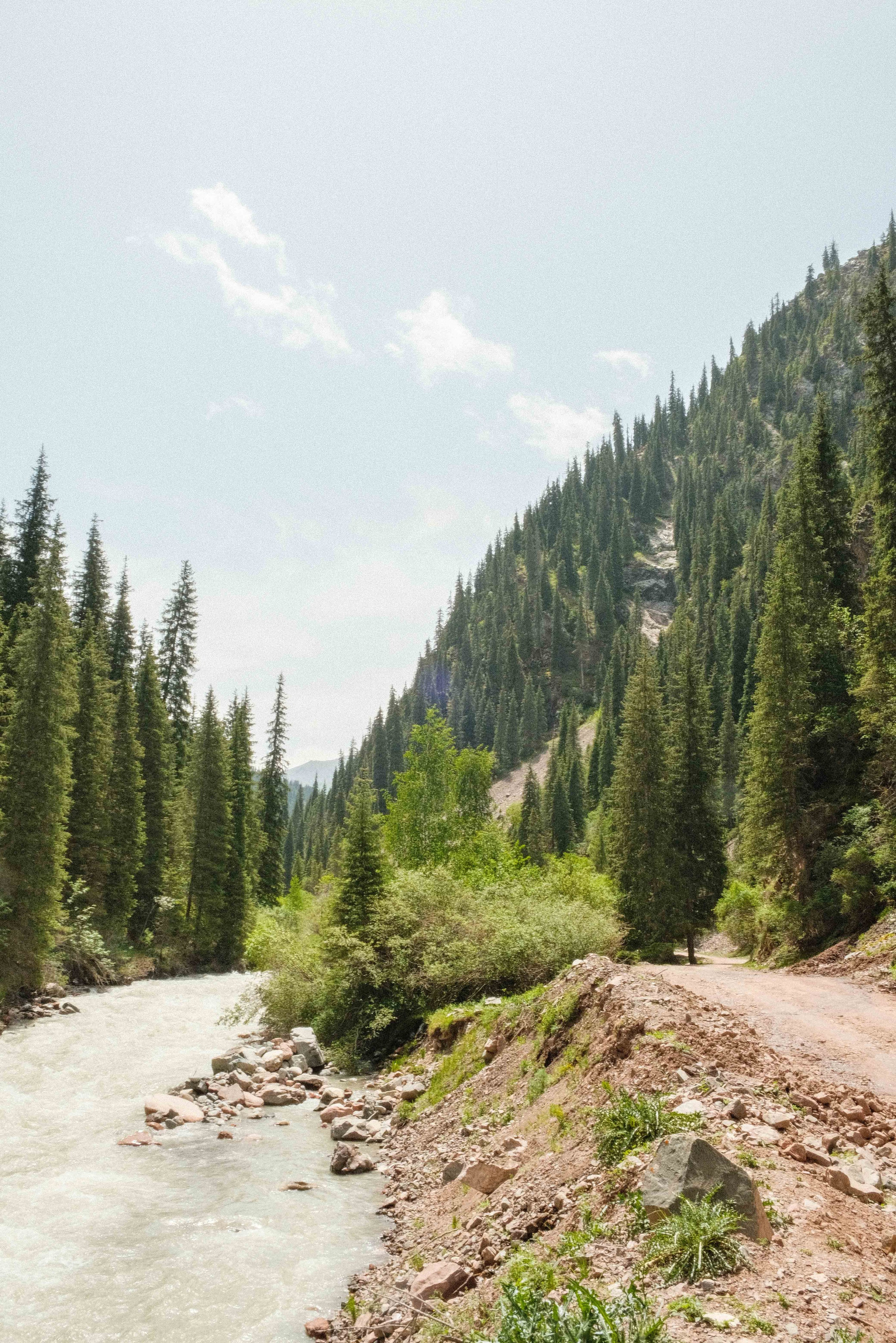 История «одной» фотографии, Киргизия. -