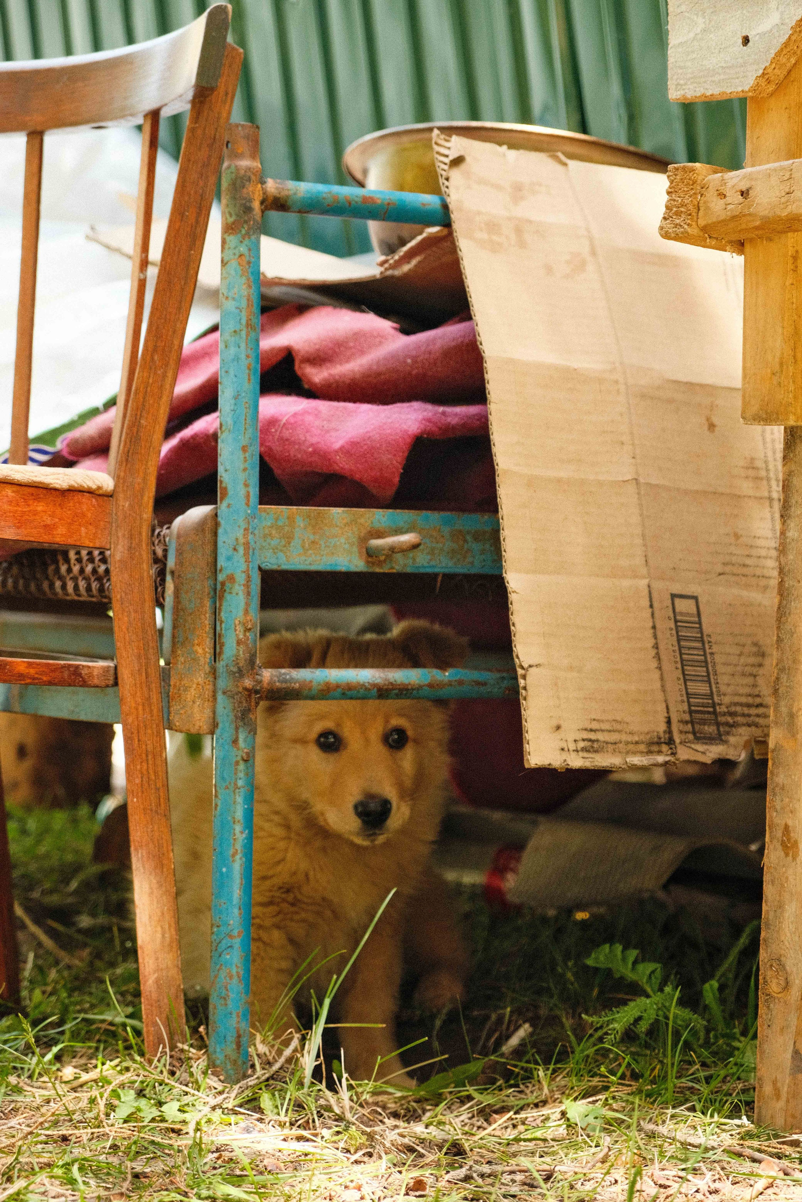 История «одной» фотографии, Киргизия. -