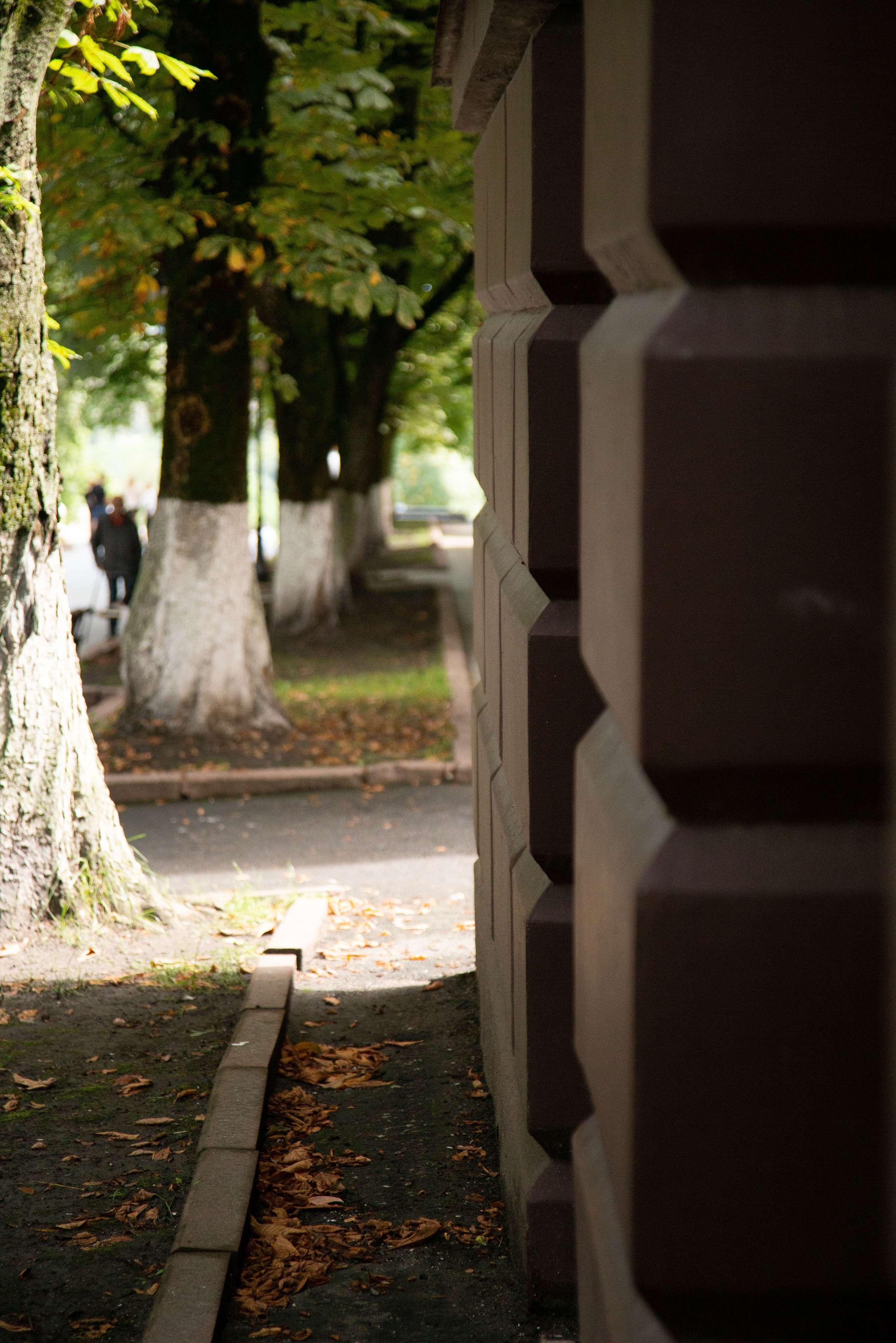 Семейный фотограф в Брянске и Москве Лена Майорова