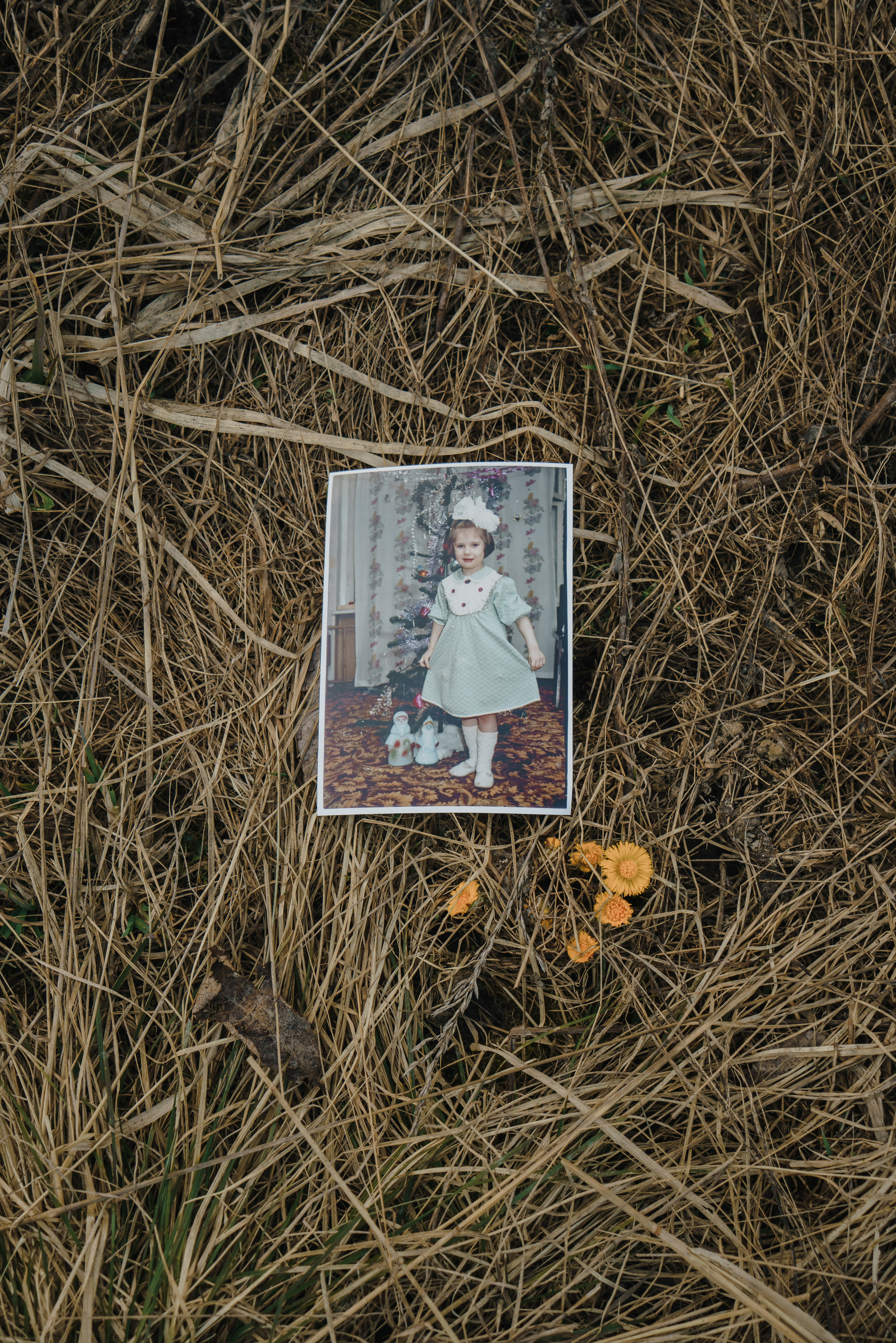 Эффект присутствия. Козлова Екатерина. Междисциплинарная визуальная художница