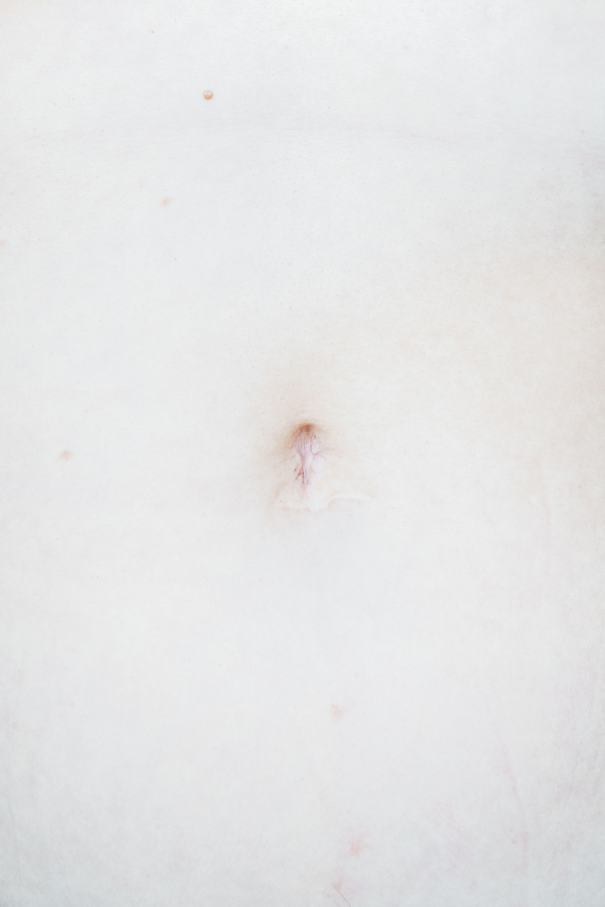 Эффект присутствия. Козлова Екатерина. Междисциплинарная визуальная художница