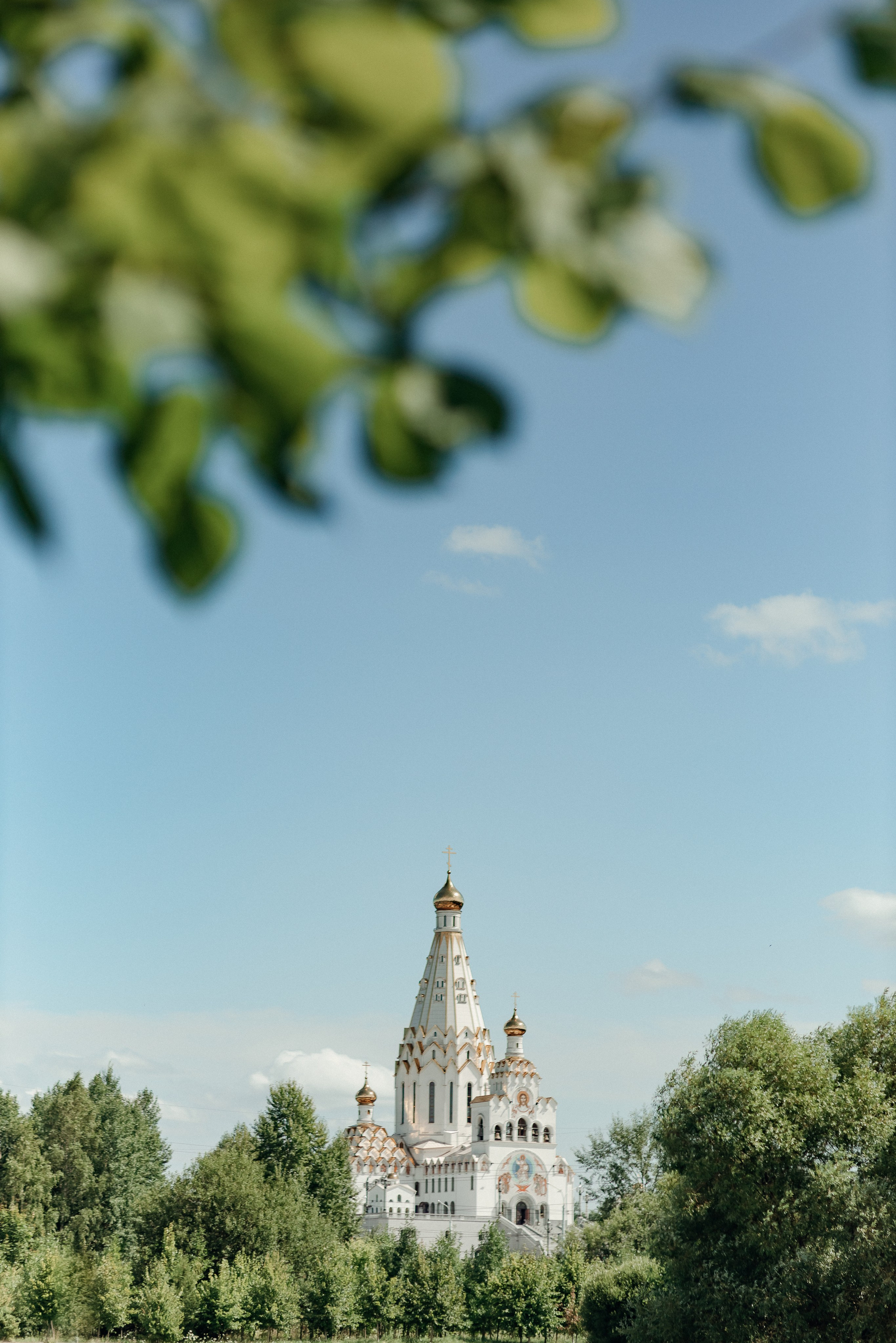 Свадебный и семейный фотограф Минск, Вера Климович