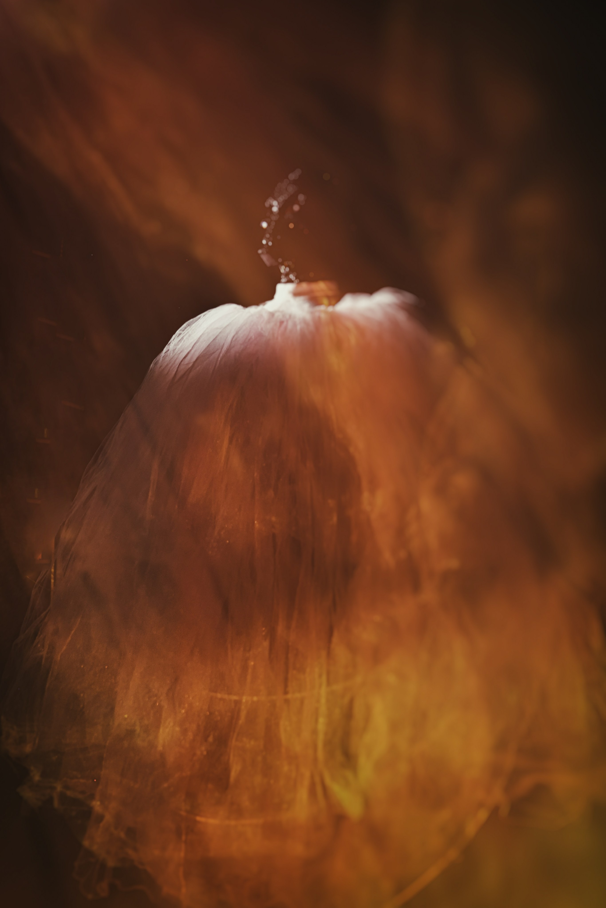 THE SPECTRAL BRIDE. Yulia Yurchevskaya | Art Director & Visual Visionary