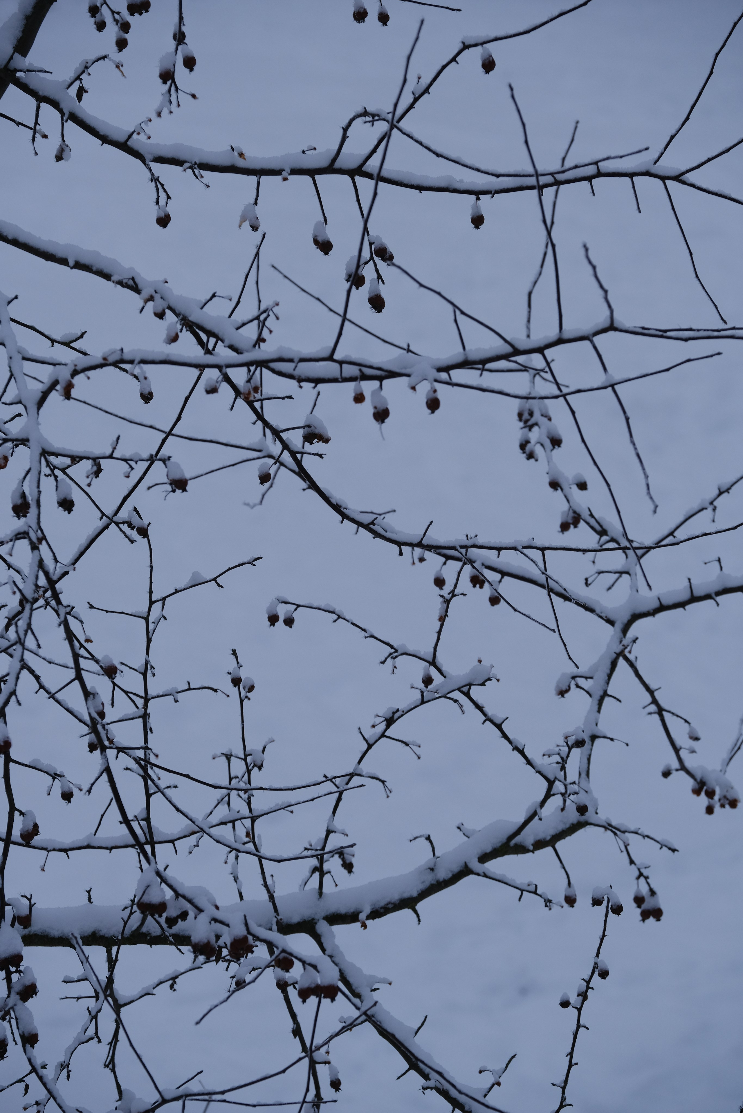 Художник. Фотограф