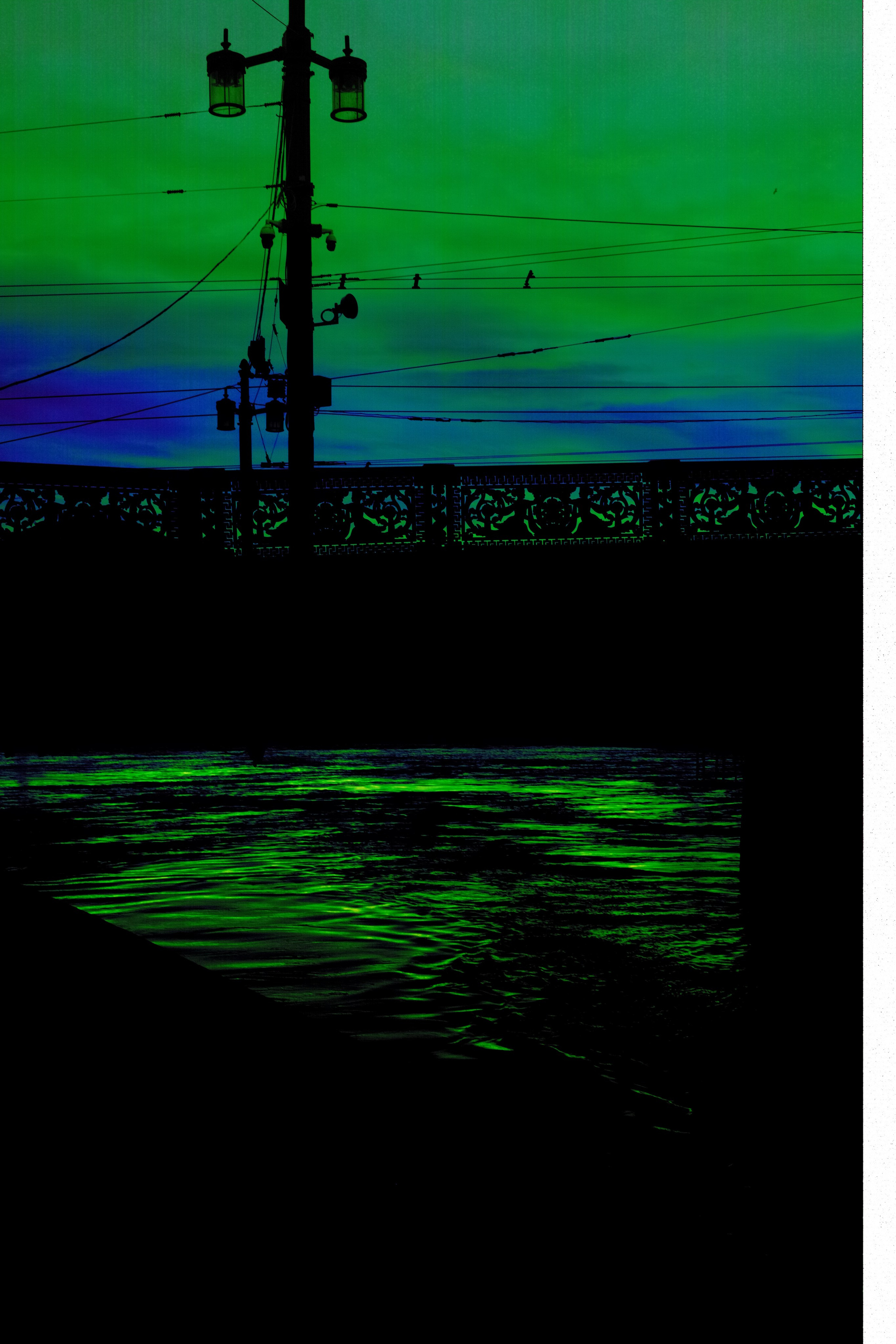 Художник. Фотограф