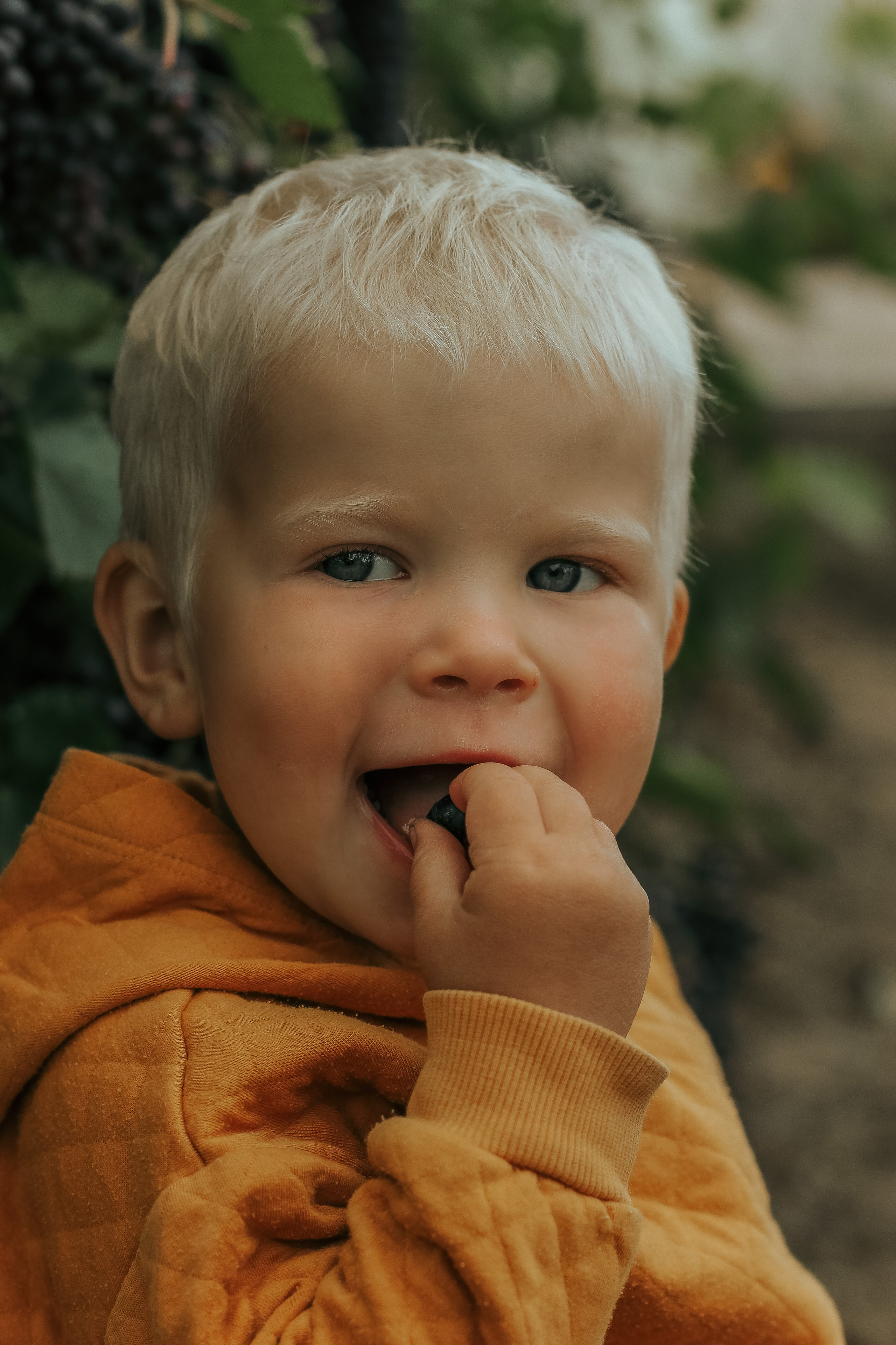 Семейный фотограф Колосова Полина